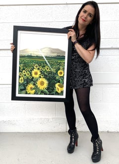 Original Painting of a Field of Sunflowers in Sunshine France by British Artist