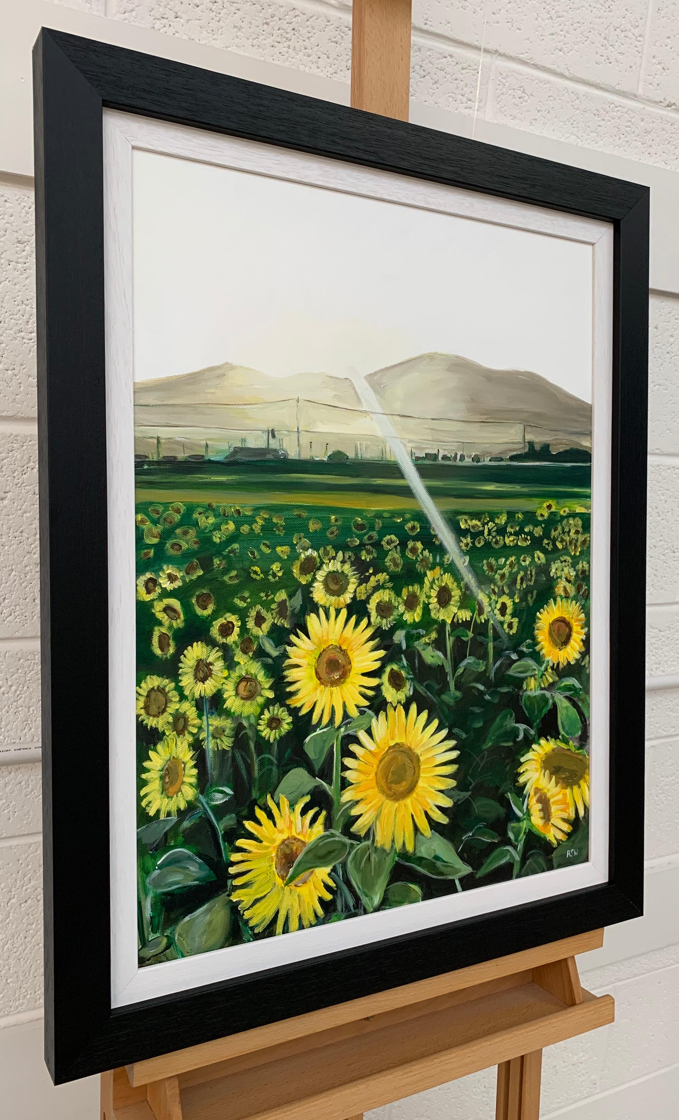 Originales Originalgemälde eines Sonnenblumenfeldes in Sonnenschein Frankreich von britischem Künstler (Zeitgenössisch), Painting, von Angela Wakefield