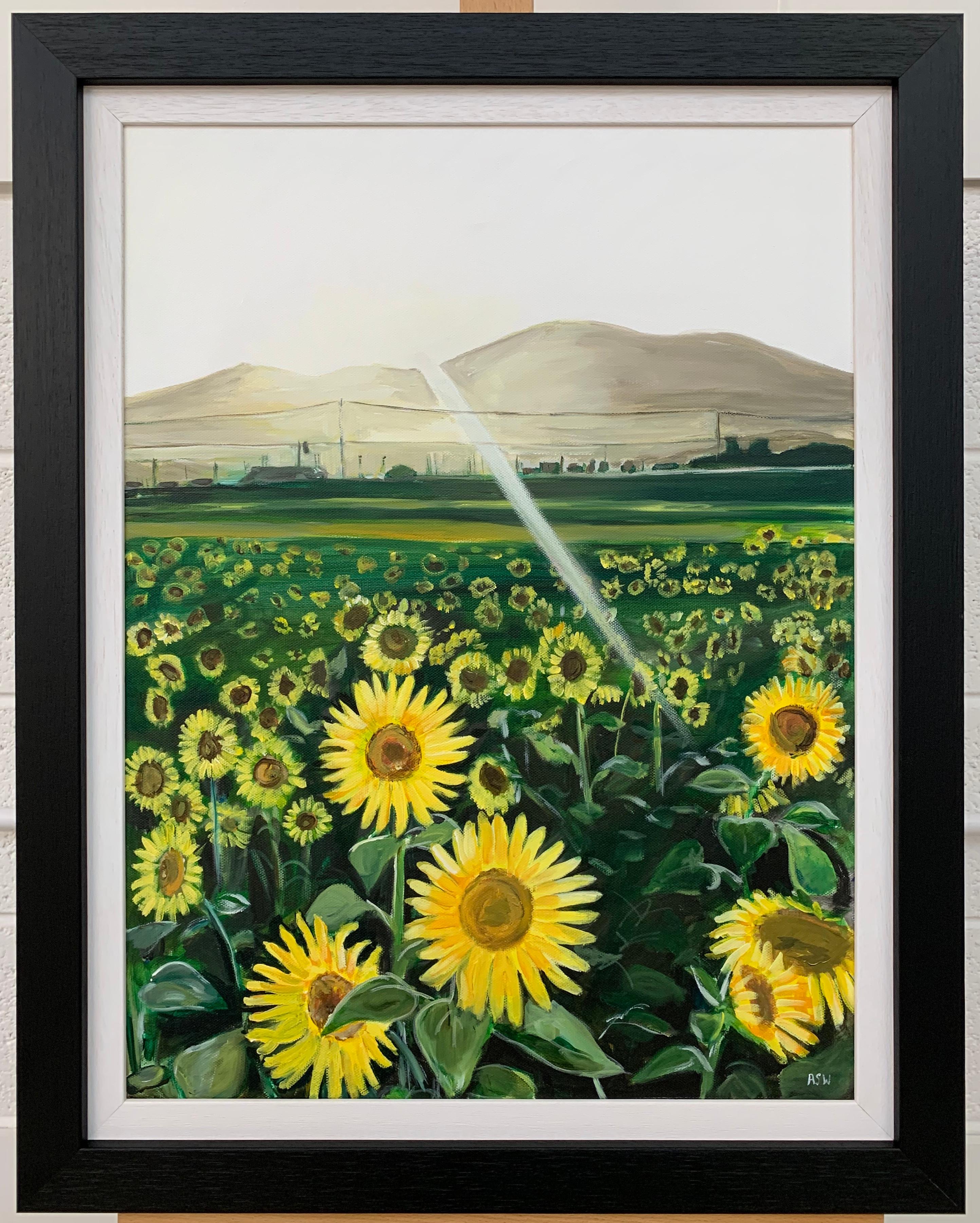 Originales Originalgemälde eines Sonnenblumenfeldes in Sonnenschein Frankreich von britischem Künstler (Schwarz), Figurative Painting, von Angela Wakefield