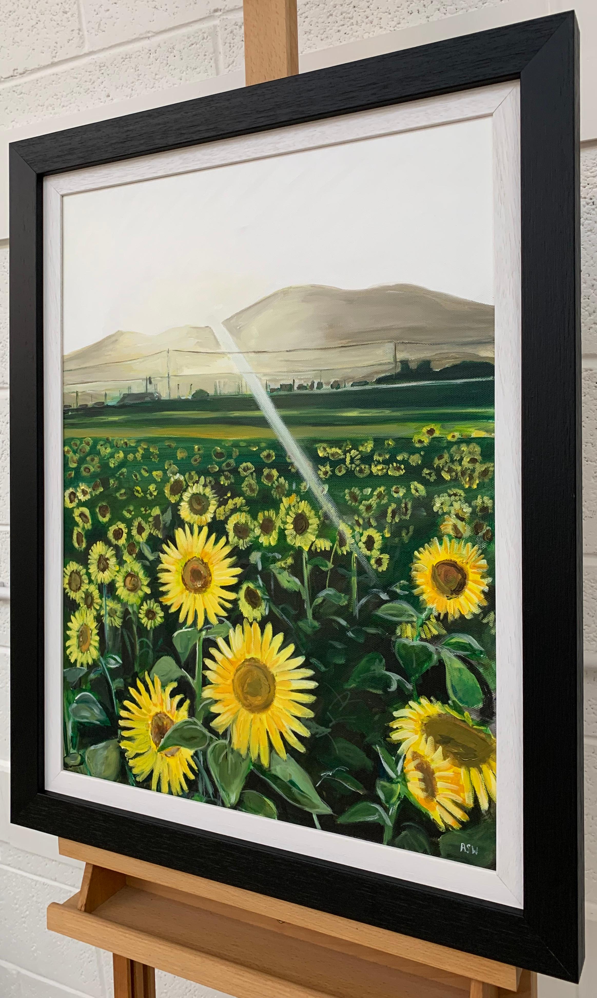 Original Painting of a Field of Sunflowers in Sunshine France by British Artist - Black Figurative Painting by Angela Wakefield