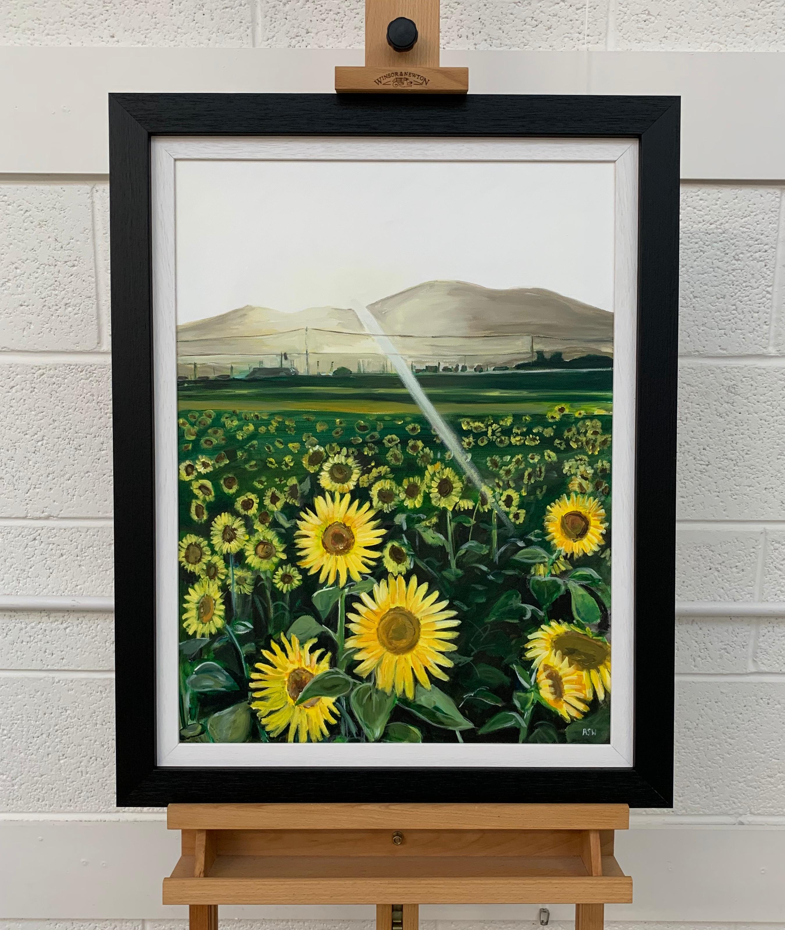Original Painting of a Field of Sunflowers in Sunshine France by British Artist 2