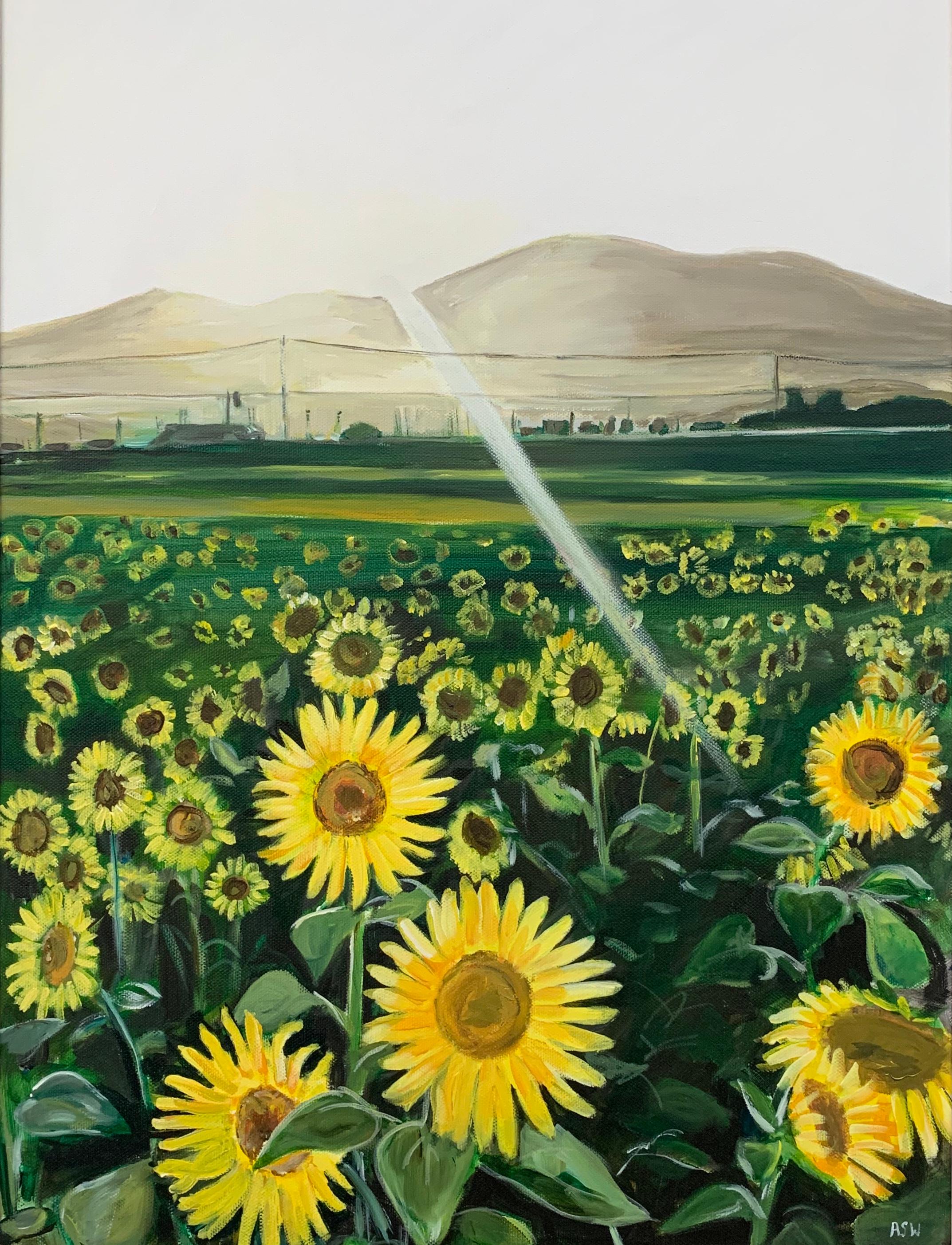 Originales Originalgemälde eines Sonnenblumenfeldes in Sonnenschein Frankreich von britischem Künstler 4
