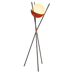 Angelo Brotto for Esperia Floor Lamp in Metal, Opaline Glass and Cane