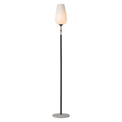 Angelo Lelii Arredoluce standard floor lamp Italy 1956