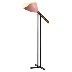 Angelo Lelii for Arredoluce ‘Televisione’ Floor Lamp in Brass and Aluminum