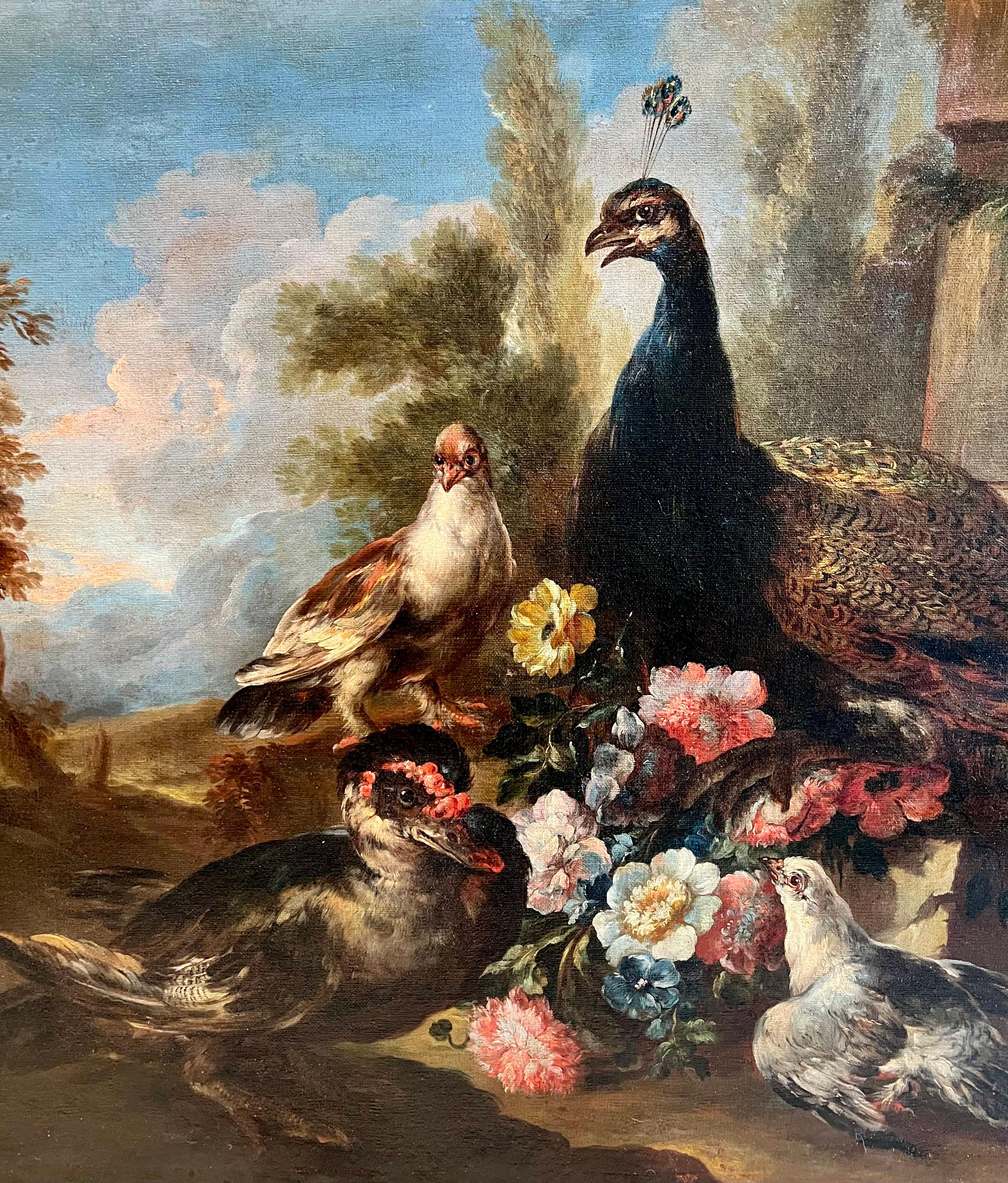 Grande huile florale italienne de la fin du 17ème et du début du 18ème siècle - colombes de paon et canard - Maîtres anciens Painting par Angelo Maria Crivelli