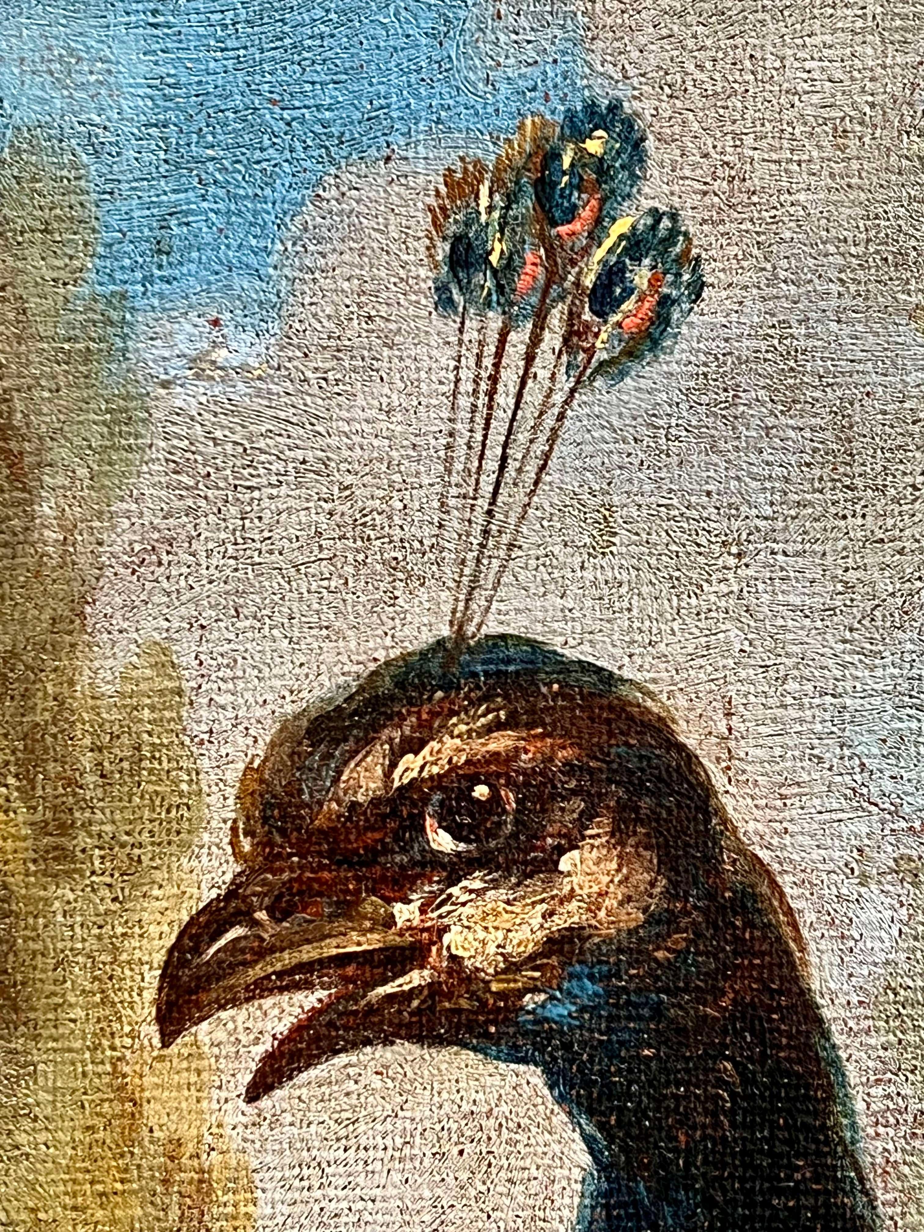 Huge late 17th early 18th century Italian floral oil - Peacock doves and a duck  2
