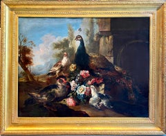 Enorme óleo floral italiano de finales del siglo XVII principios del XVIII - Palomas pavo real y un pato 