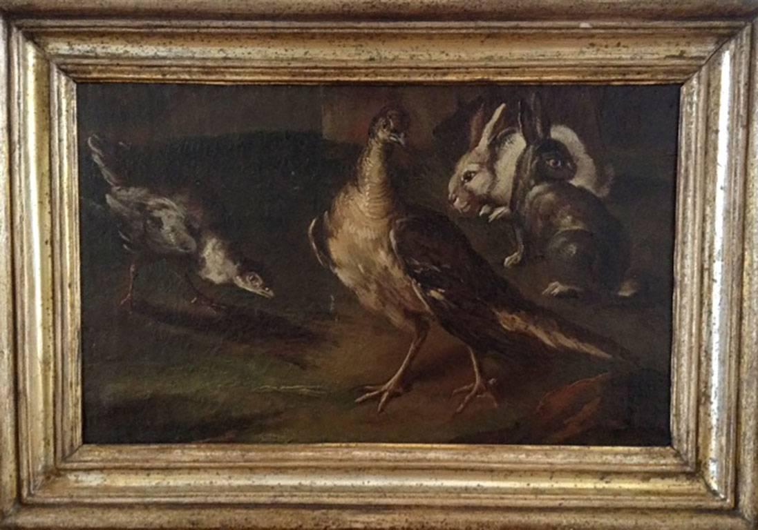 Late 17th/early 18th century Italian painting of a group of Partridges and Hares