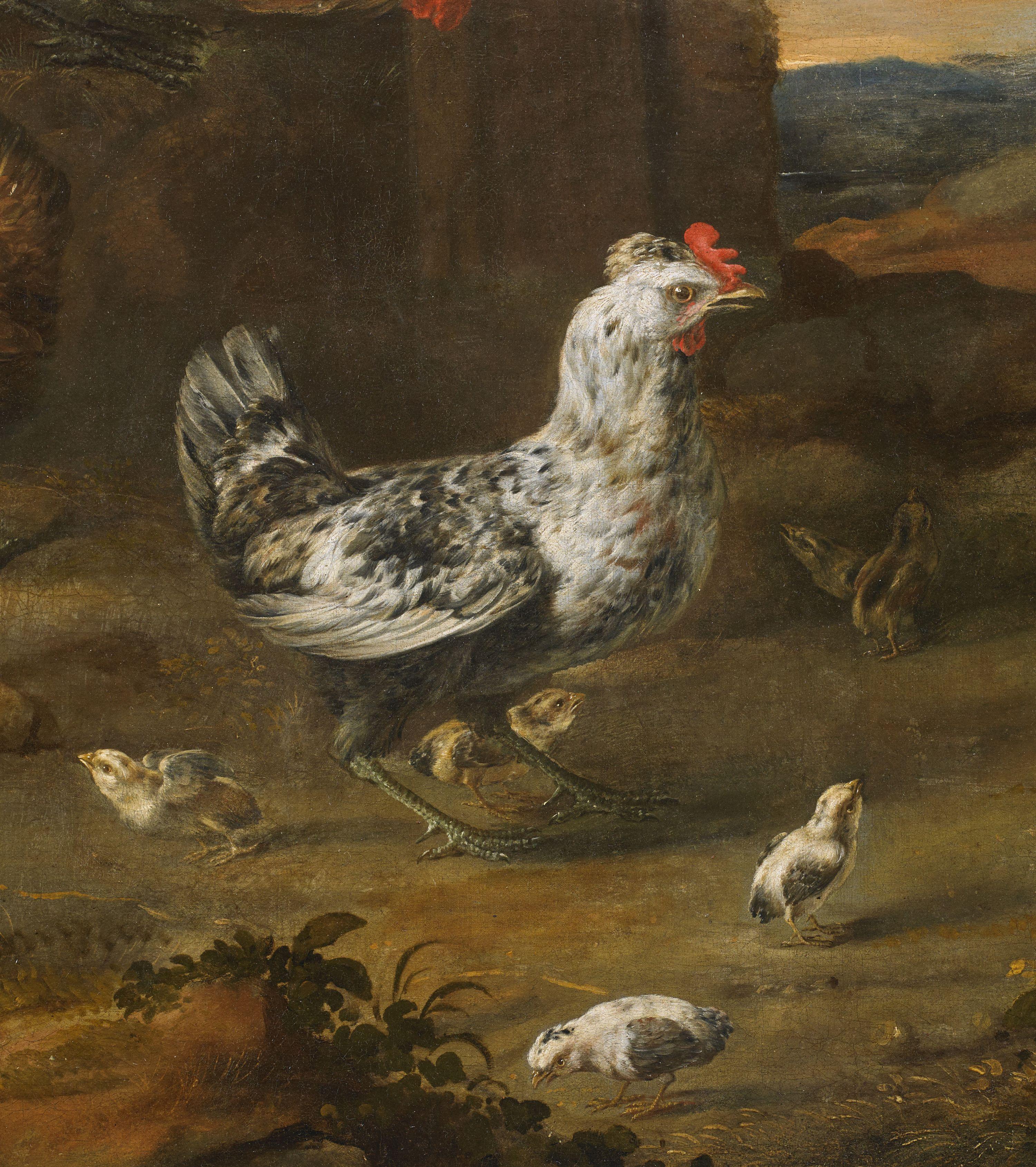This fox in the chicken coop, oil on canvas, 105 x 156 without frame and 135 x 185 cm with frame, was clearly painted by Angelo Maria Crivelli (Milan 1660 - 1730) called Crivellone; painter from the Milanese stable but also very active in Piedmont