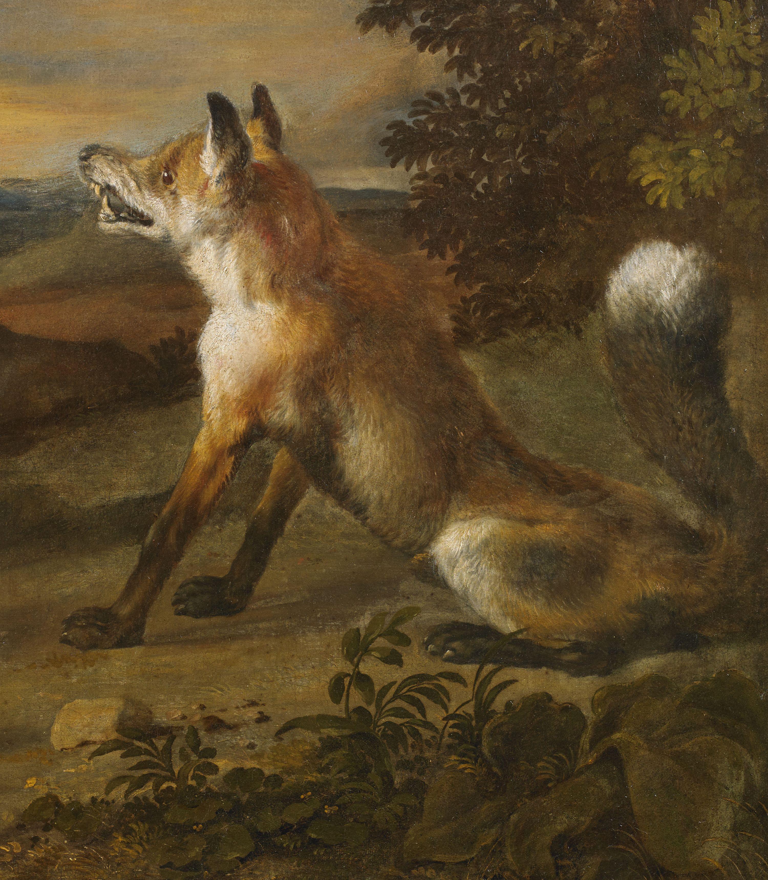 17Th Century Animals Scene Angelo Maria Crivelli Fight Fox Oil on Canvas Orange For Sale 1
