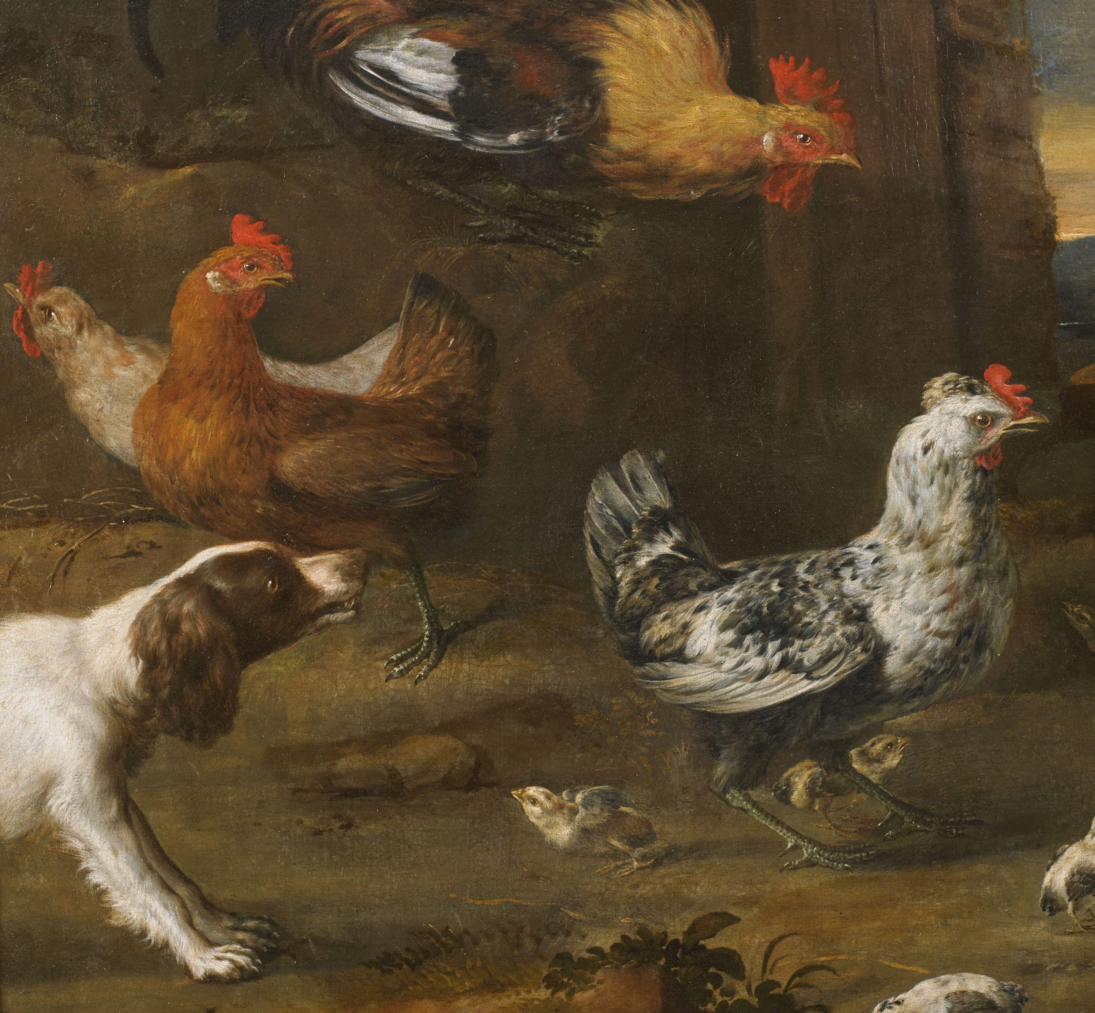 17Th Century Animals Scene Angelo Maria Crivelli Fight Fox Oil on Canvas Orange For Sale 2