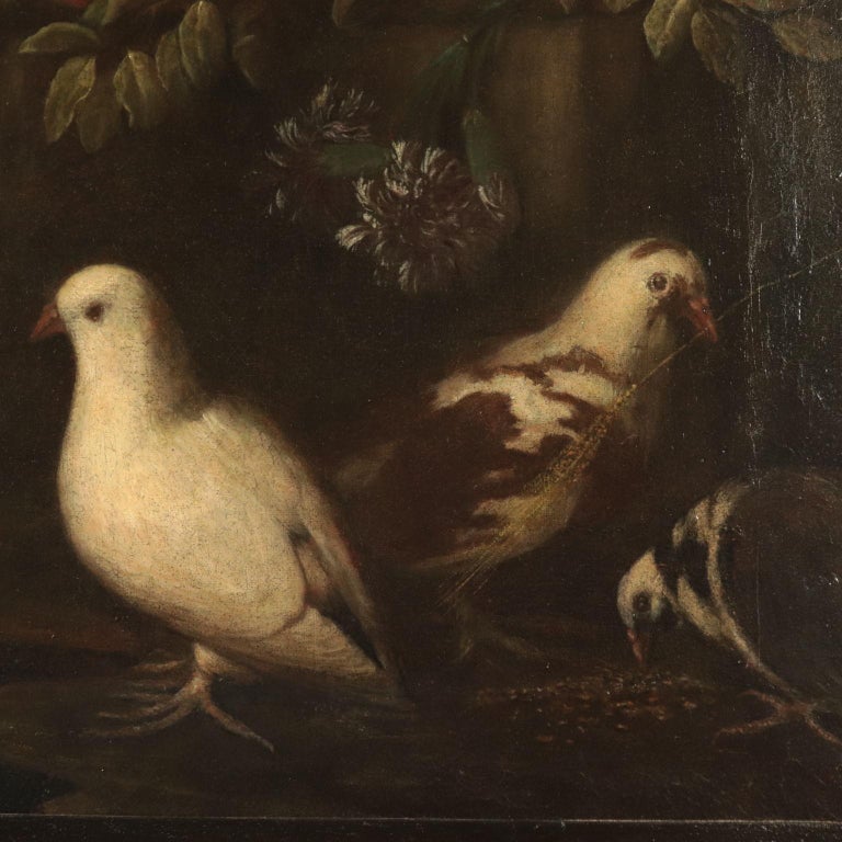 Angelo Maria Rossi - Still Life with Fruit, Flowers and Birds, Oil on ...