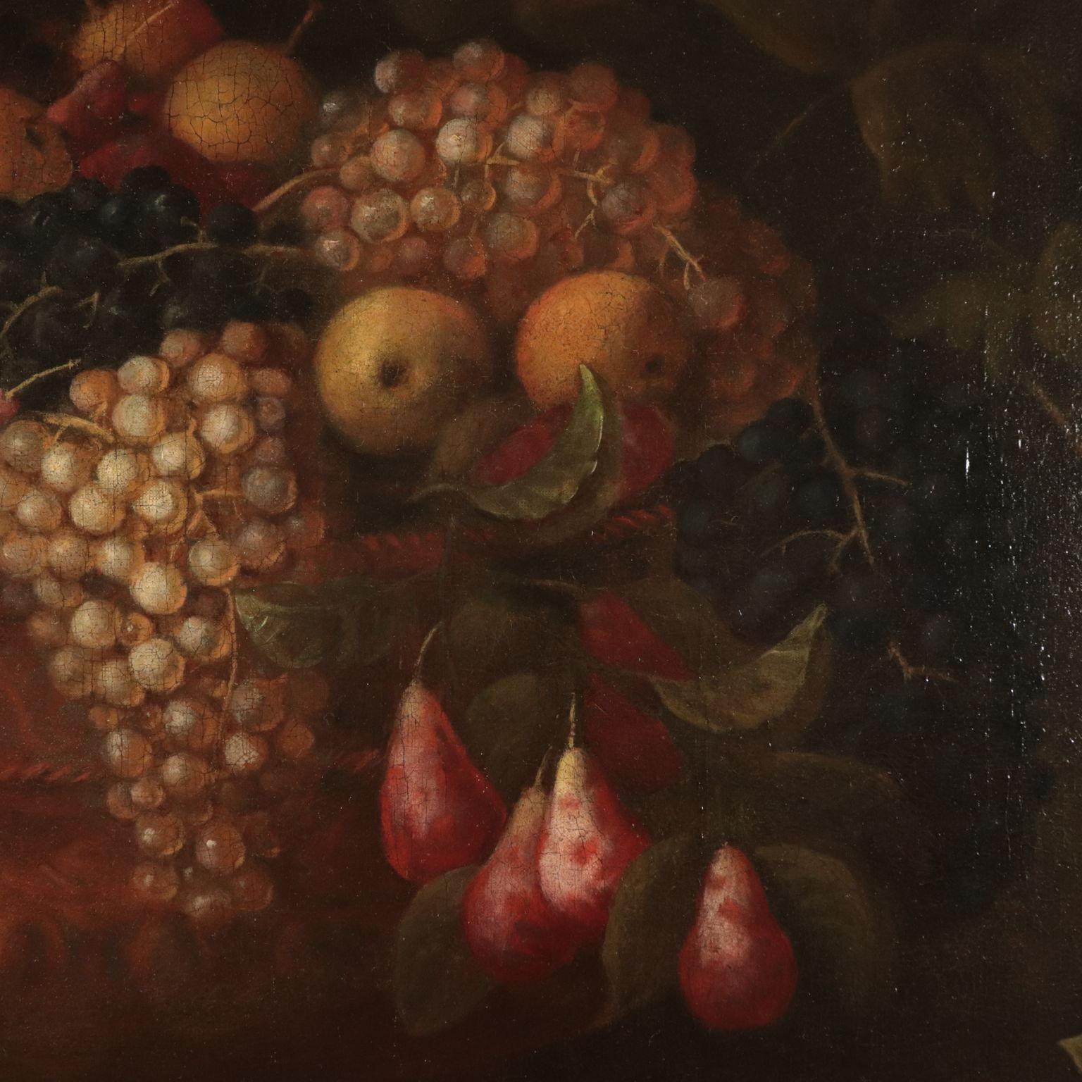 Still Life with Fruit, Flowers and Birds, Oil on Canvas, 17th Century - Black Still-Life Painting by Angelo Maria Rossi