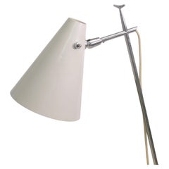 Floor Lamps
