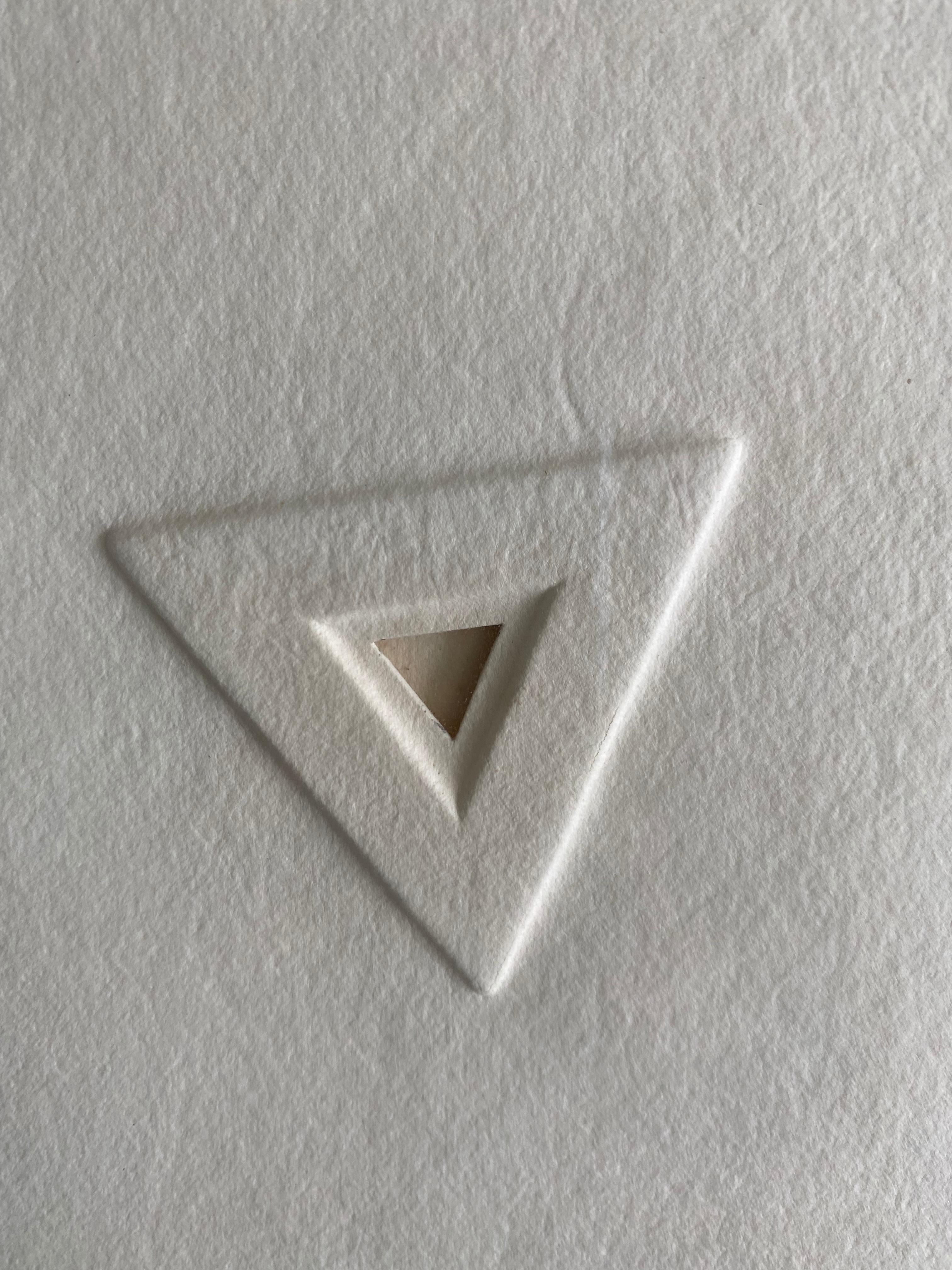 Paper Angelo Savelli Basically White Series, Texas Triangle