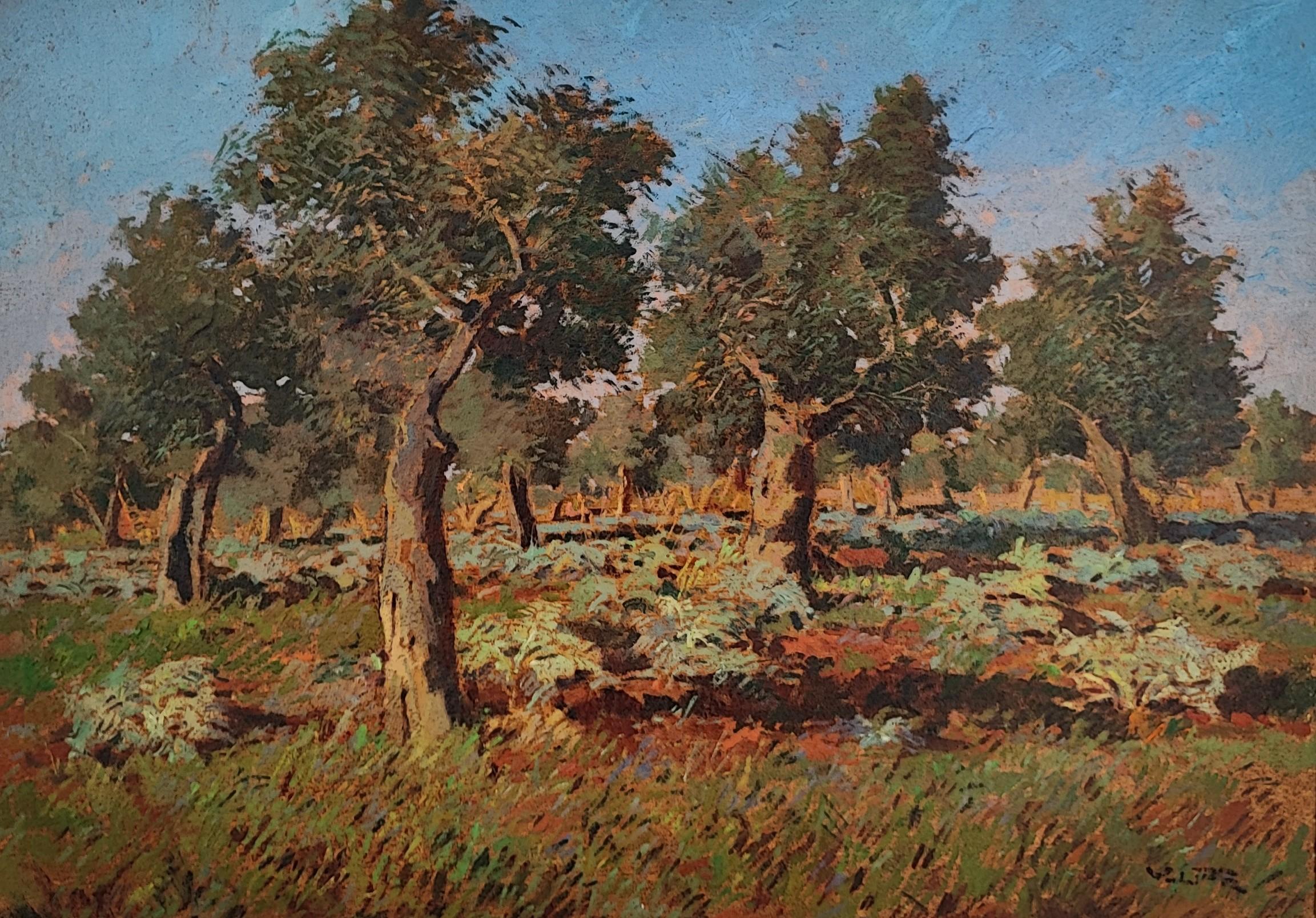 Landscape Painting Angelo Volpe - Jardinière d'olivier de Livorno Salviano avec artichauts