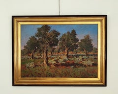 Olive grove of Livorno Salviano with artichokes