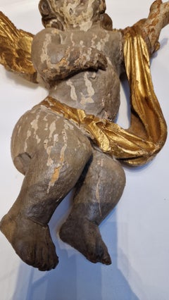 angelot policromo
