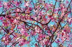 Cherry Blossom Kiss, Gemälde, Acryl auf Leinwand