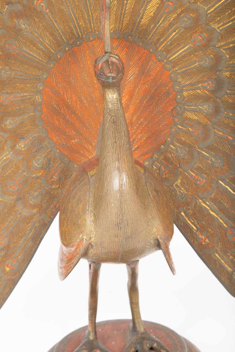 Anglo-Indian Etched and Painted Brass Peacock For Sale at 1stDibs