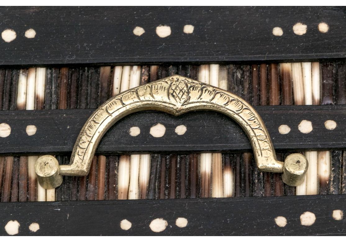 Anglo-Indian Large Rectangular Porcupine Quill Box 3