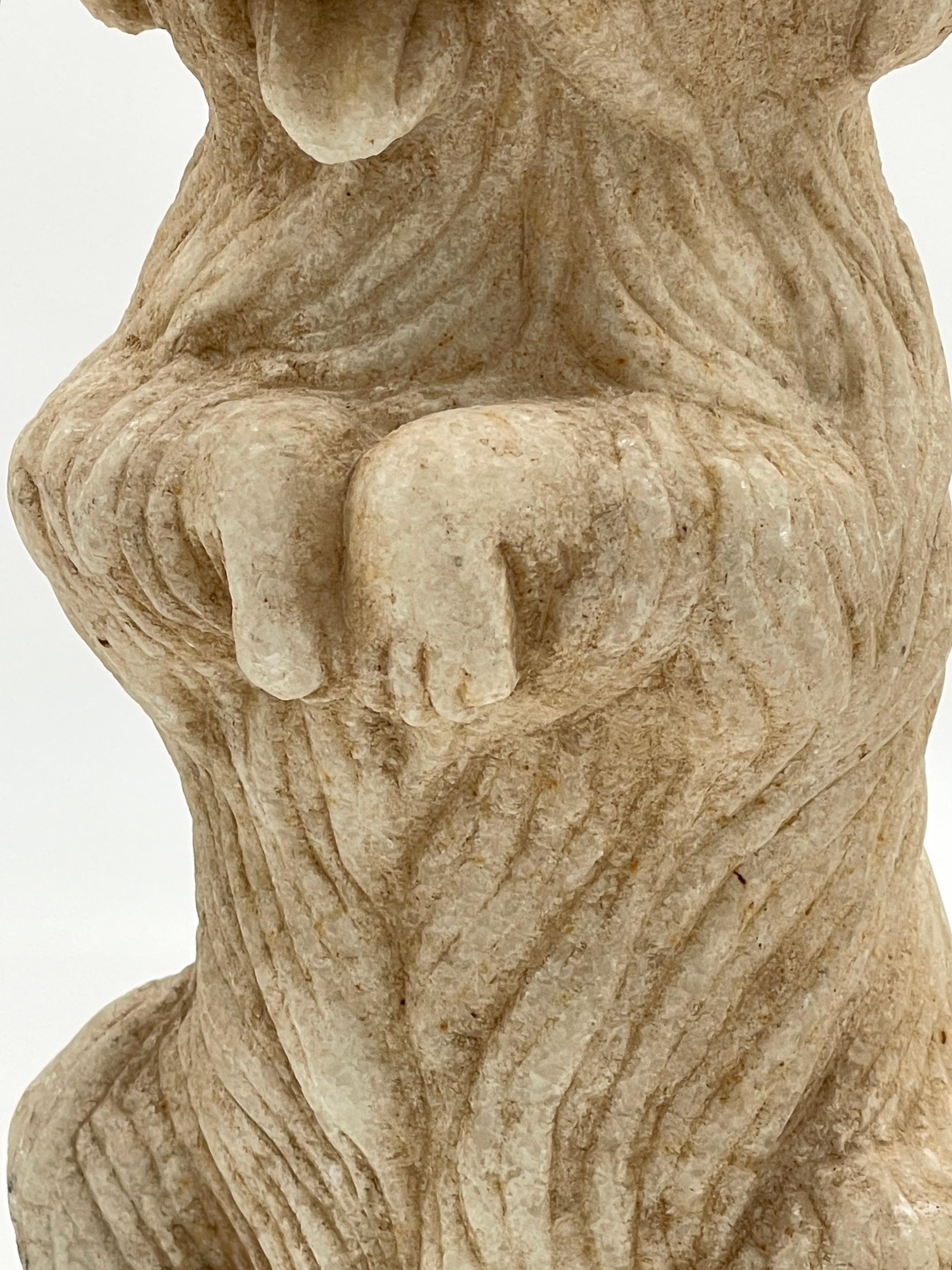 Sculpture en marbre sculpté de style Régence anglo-indienne représentant un terrier assis à longs cheveux  en vente 3