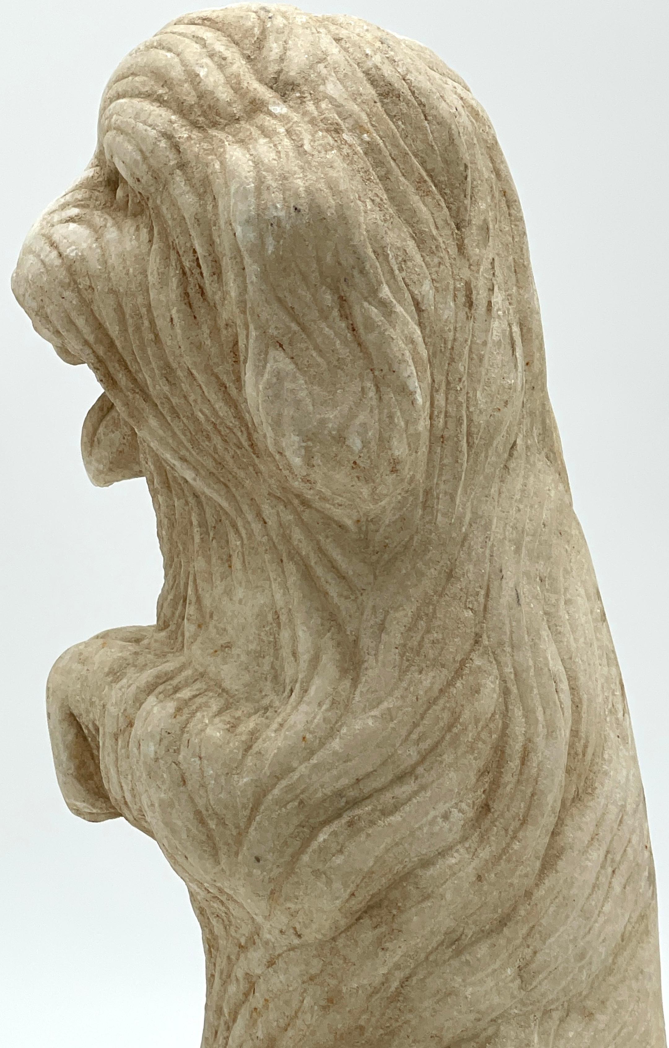 Sculpture en marbre sculpté de style Régence anglo-indienne représentant un terrier assis à longs cheveux  en vente 1