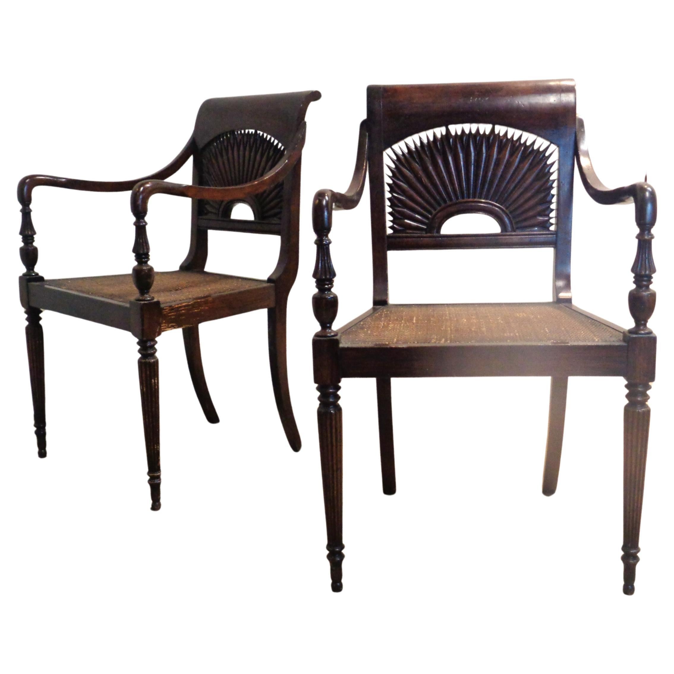 Anglo Indian Style Carved Sunburst Back Armchairs  For Sale