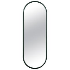 Grand miroir ovale de la forêt Angui
