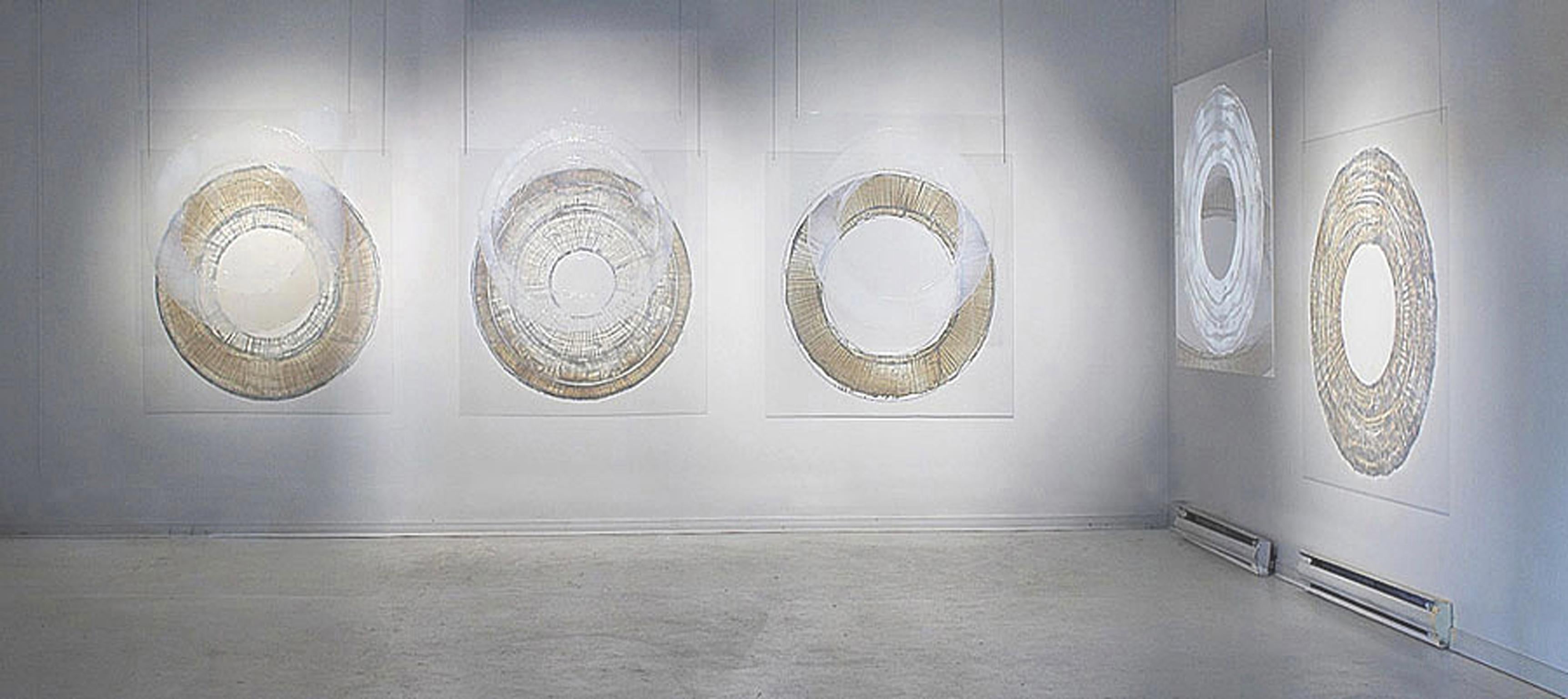 In this elegant composition by Ania Machudera light plays off a gel pattern on a clear plexiglass circle creating a shadow of the original image on the wall. Machudera leans on her background in science to play with optics—the study of light to