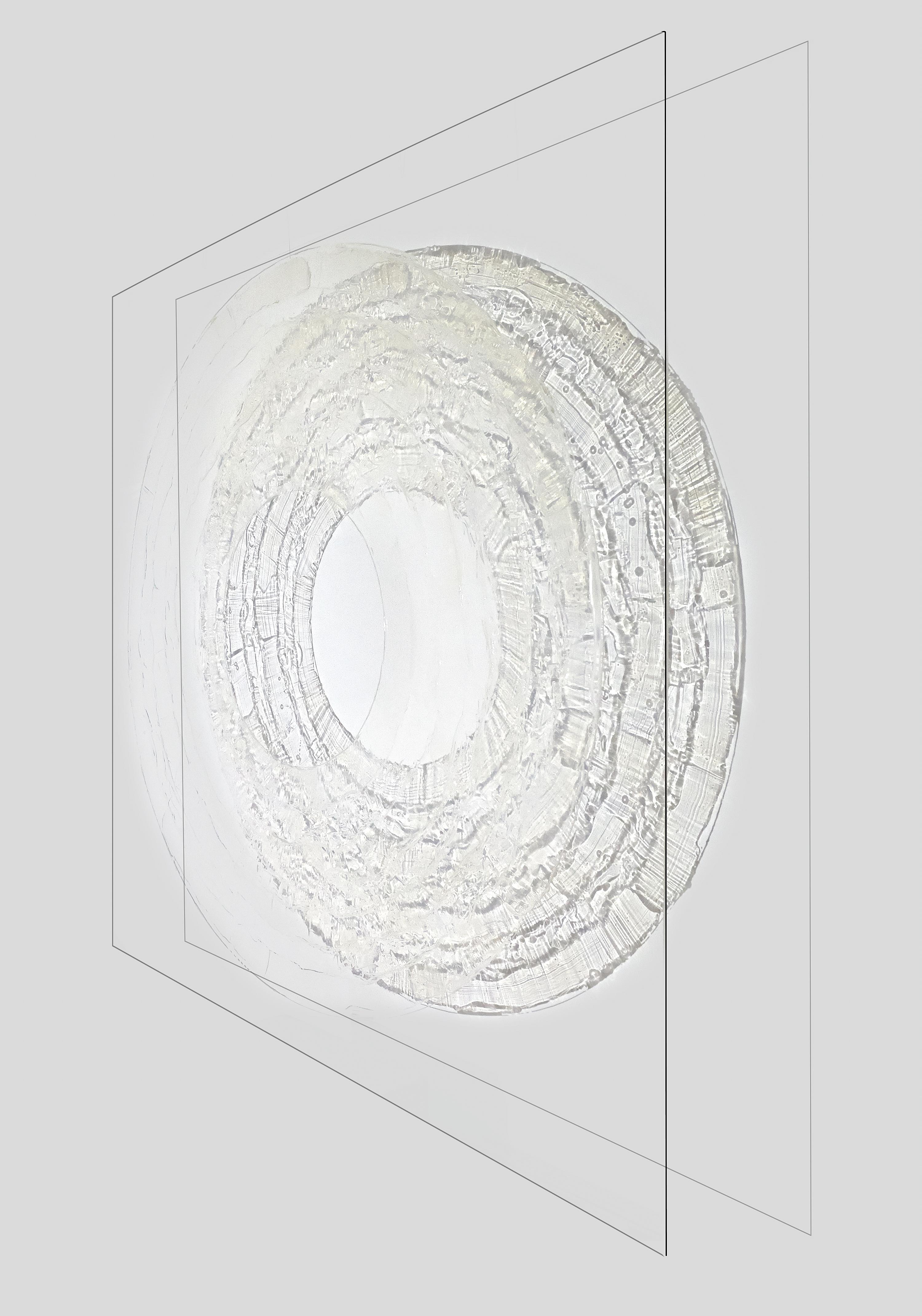 Untitled No 31 - large, transparent, shadow, wall mounted acrylic on plexiglass - Painting by Ania Machudera