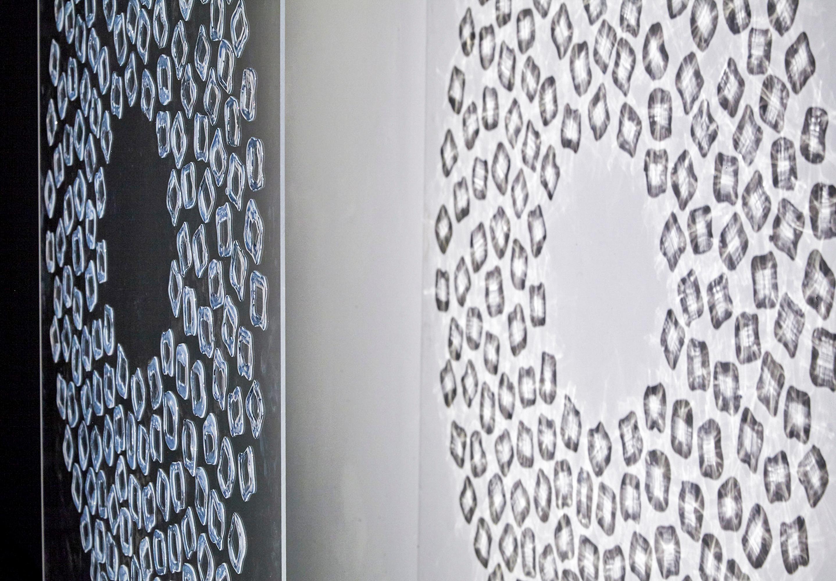 Untitled No 46 - large, transparent, shadow, wall mounted acrylic on plexiglass - Painting by Ania Machudera