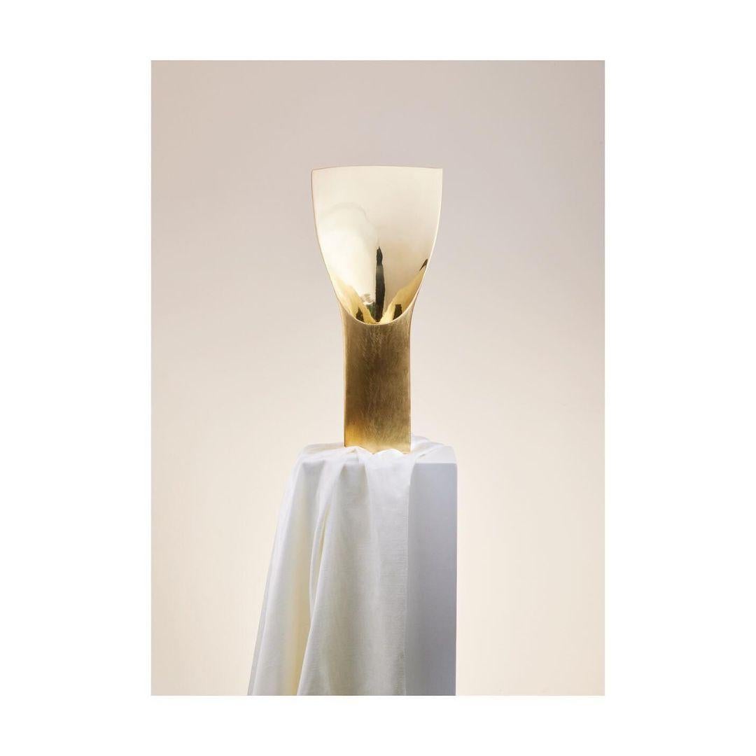 Anicca Vanitas Vase by Luca Gruber
Dimensions: D 15 x W 21,5 x H 46,2 cm.
Materials: Cast brass.

Luca Gruber
