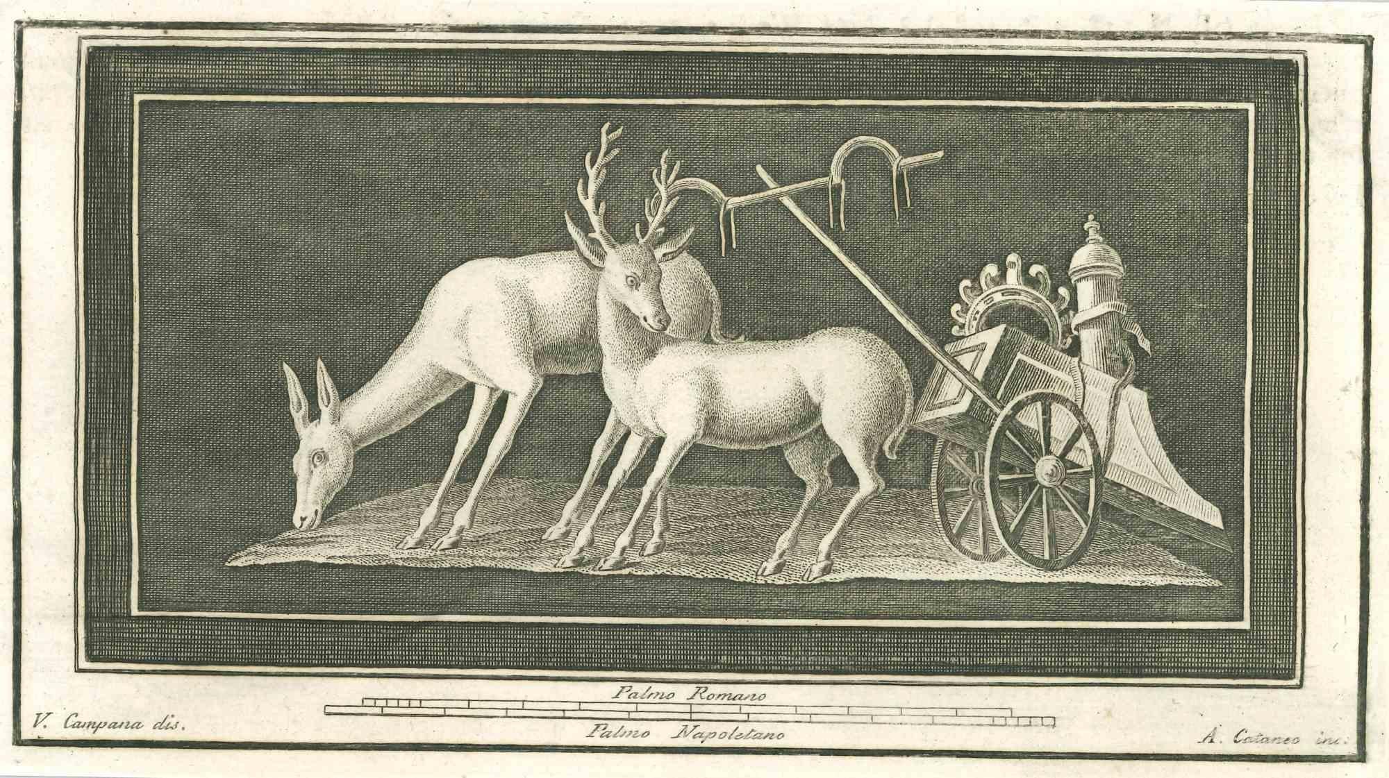 Animali Affresco Pompeiano da "Antichità di Ercolano" è un'acquaforte su carta realizzata da Aniello Cataneo nel XVIII secolo.

Firmato sul piatto.

Buone condizioni.

L'incisione appartiene alla suite di stampe "Antiquities of Herculaneum Exposed"