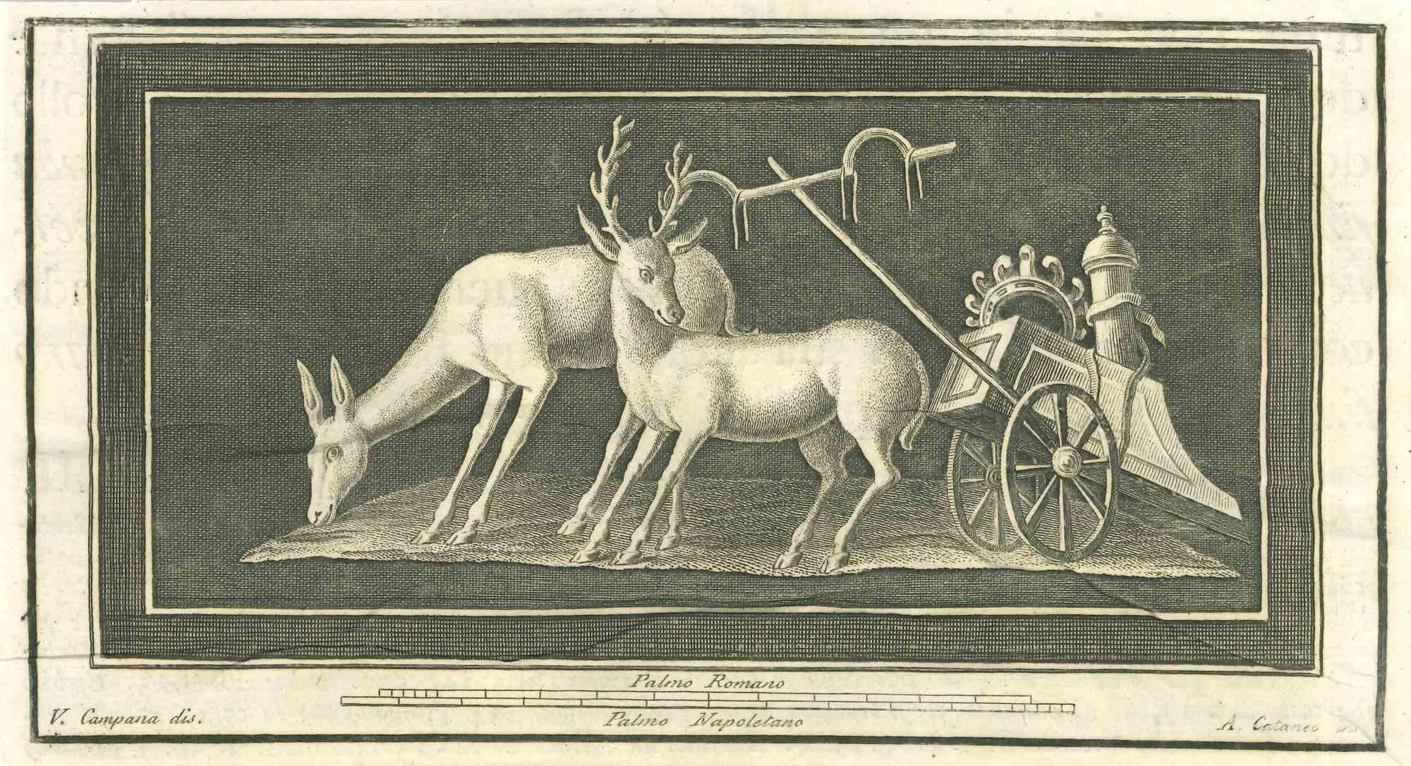 Animals Pompeian Fresco - Etching by Aniello Cataneo - 18th Century