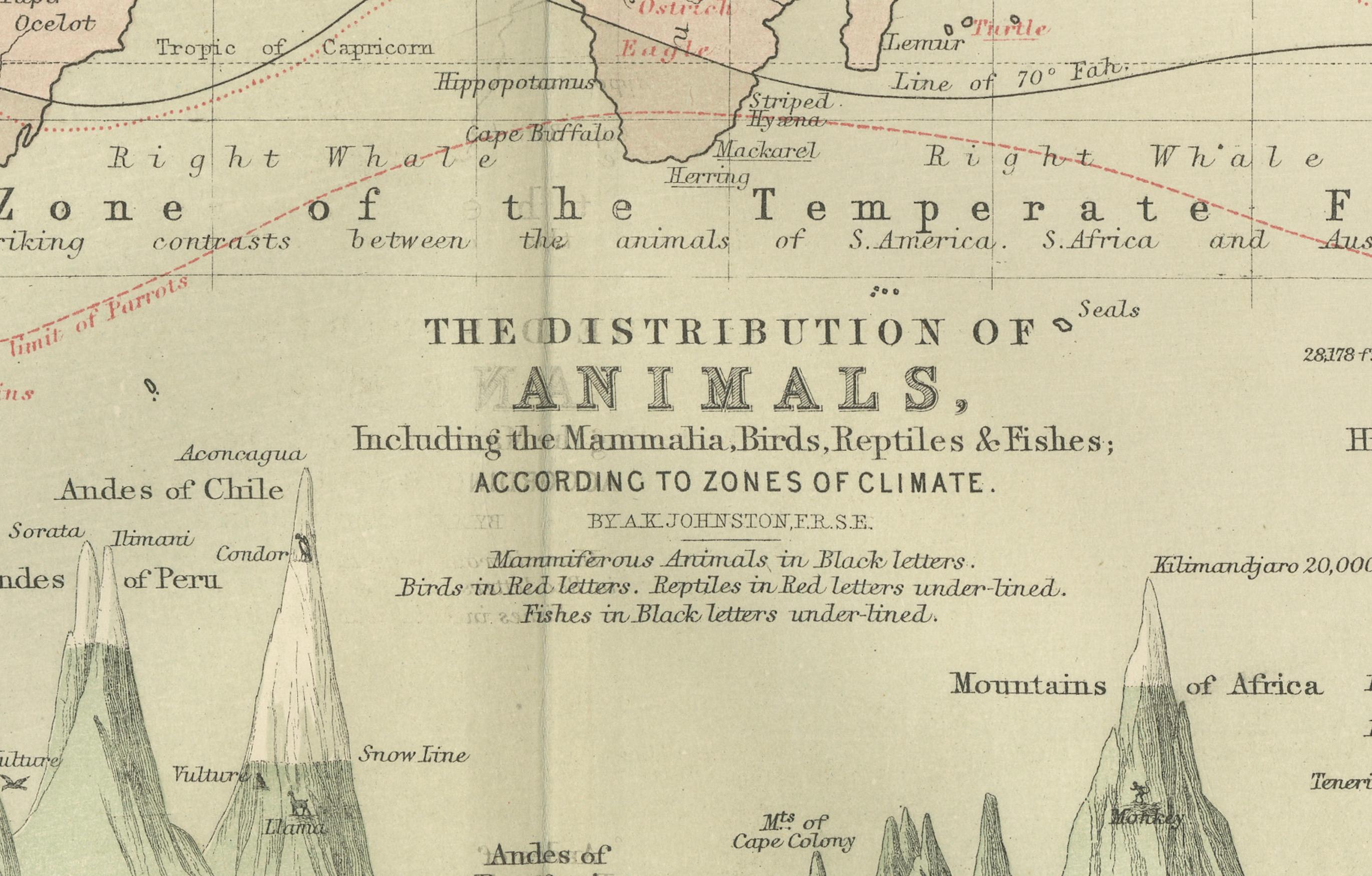 Animal Distribution Map by A.K. Johnston – Fauna by Climate Zones 1852 in vendita 4