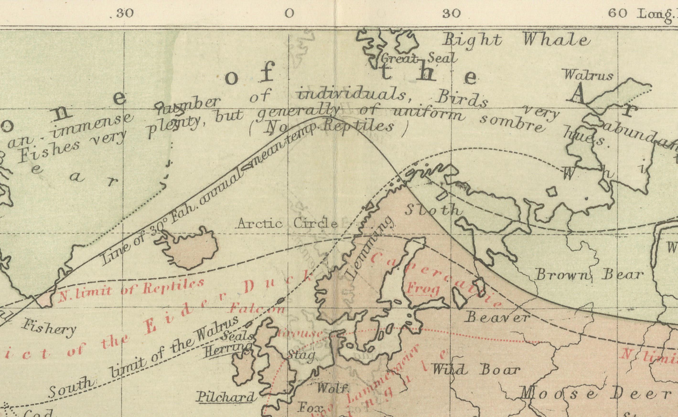 Animal Distribution Map by A.K. Johnston – Fauna by Climate Zones 1852

This beautifully engraved chart titled 