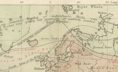 Mappa di distribuzione degli animali di A.K. Johnston - Fauna per zone climatiche 1852
