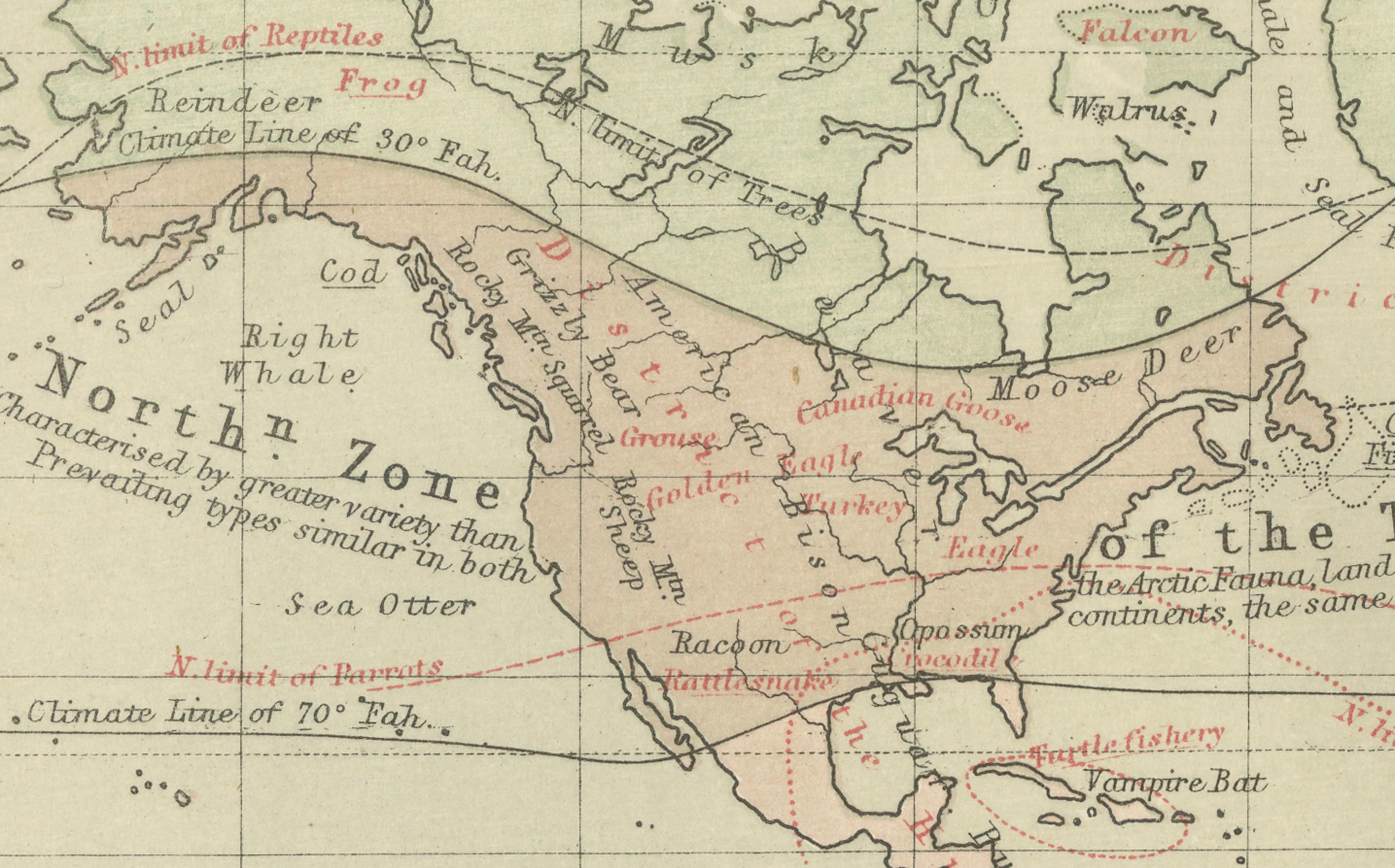 Scozzese Animal Distribution Map by A.K. Johnston – Fauna by Climate Zones 1852 in vendita