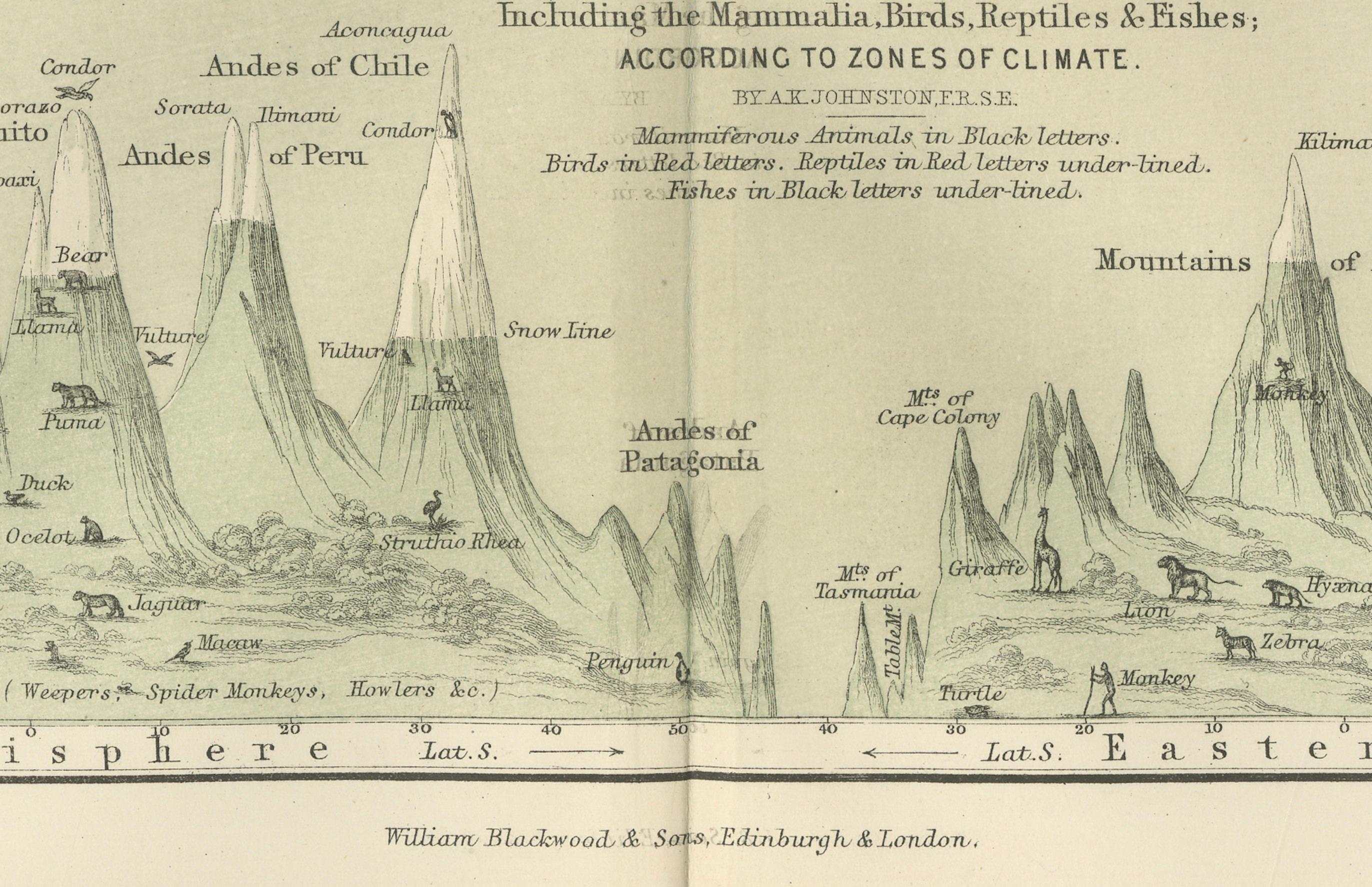 Animal Distribution Map by A.K. Johnston – Fauna by Climate Zones 1852 in vendita 2
