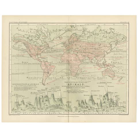 Animal Distribution Map by A.K. Johnston – Fauna by Climate Zones 1852