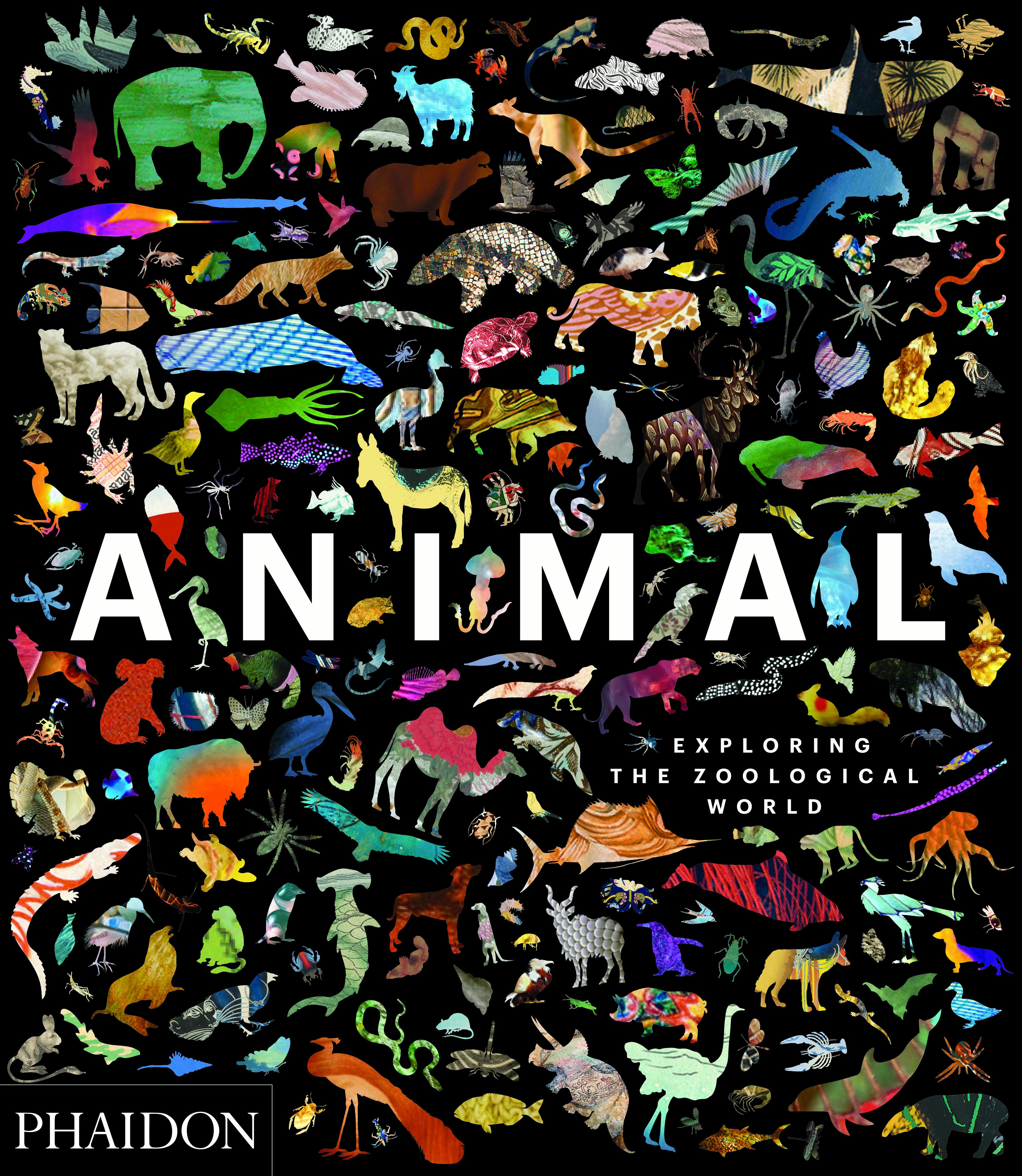Animal Exploring the Zoological World For Sale 2
