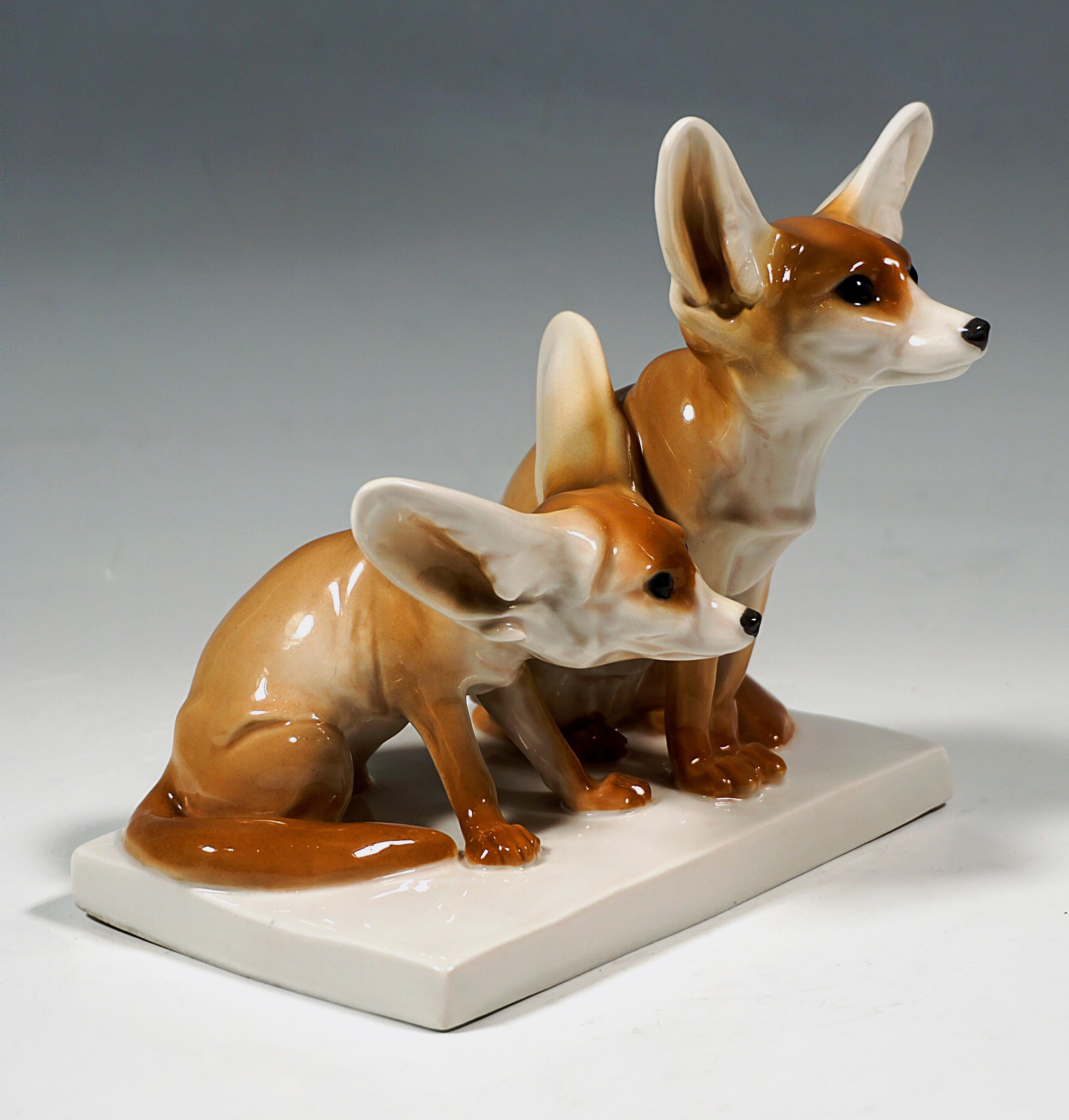 Lifelike depiction of two side by side sitting fennec foxes with the characteristic large ears, the smallest of all wild dogs and native to the sandy deserts of North Africa.
On a white, flat rectangular base. 

Designer:
OTTO PILZ (1876 -