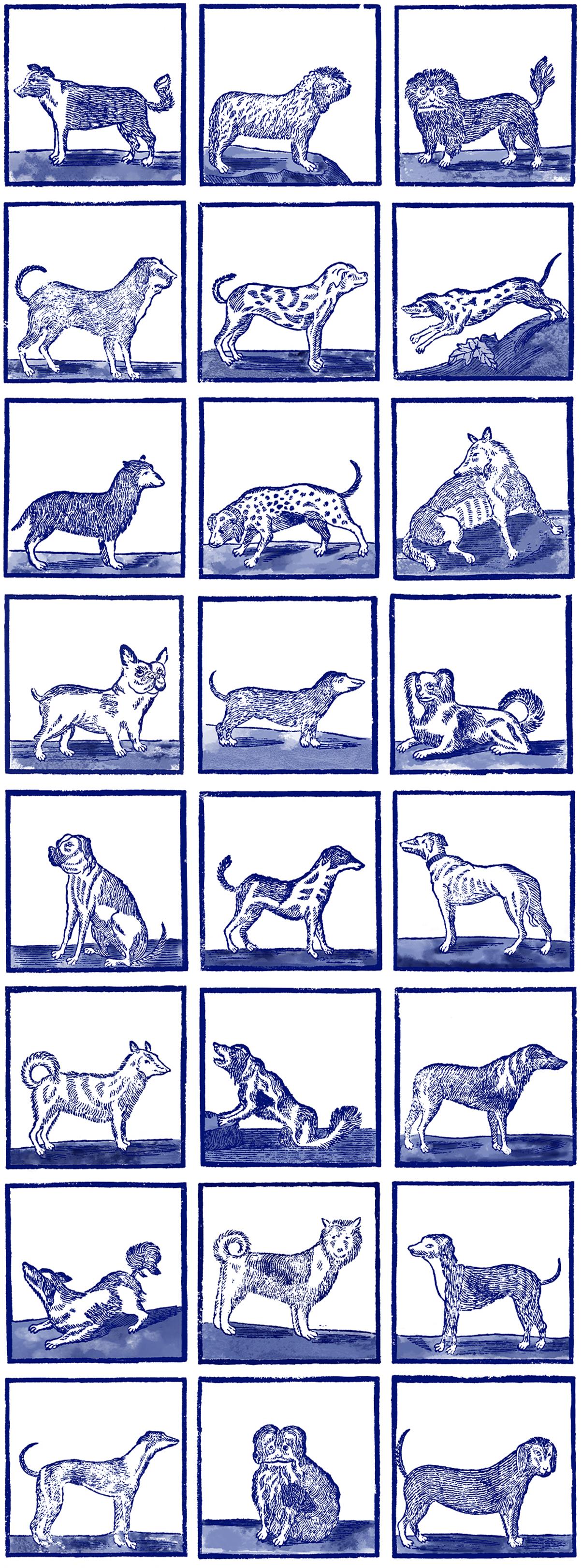 MINIMUM ORDER 4 ROLLS FOR A TOTAL OF 44 YARDS. 

This design is inspired by Dutch Delfts Blue and Portuguese Azulejos tiles.

We selected and reworked details of different dog breeds from 18th century Dutch illustrations.

This design is elegant,