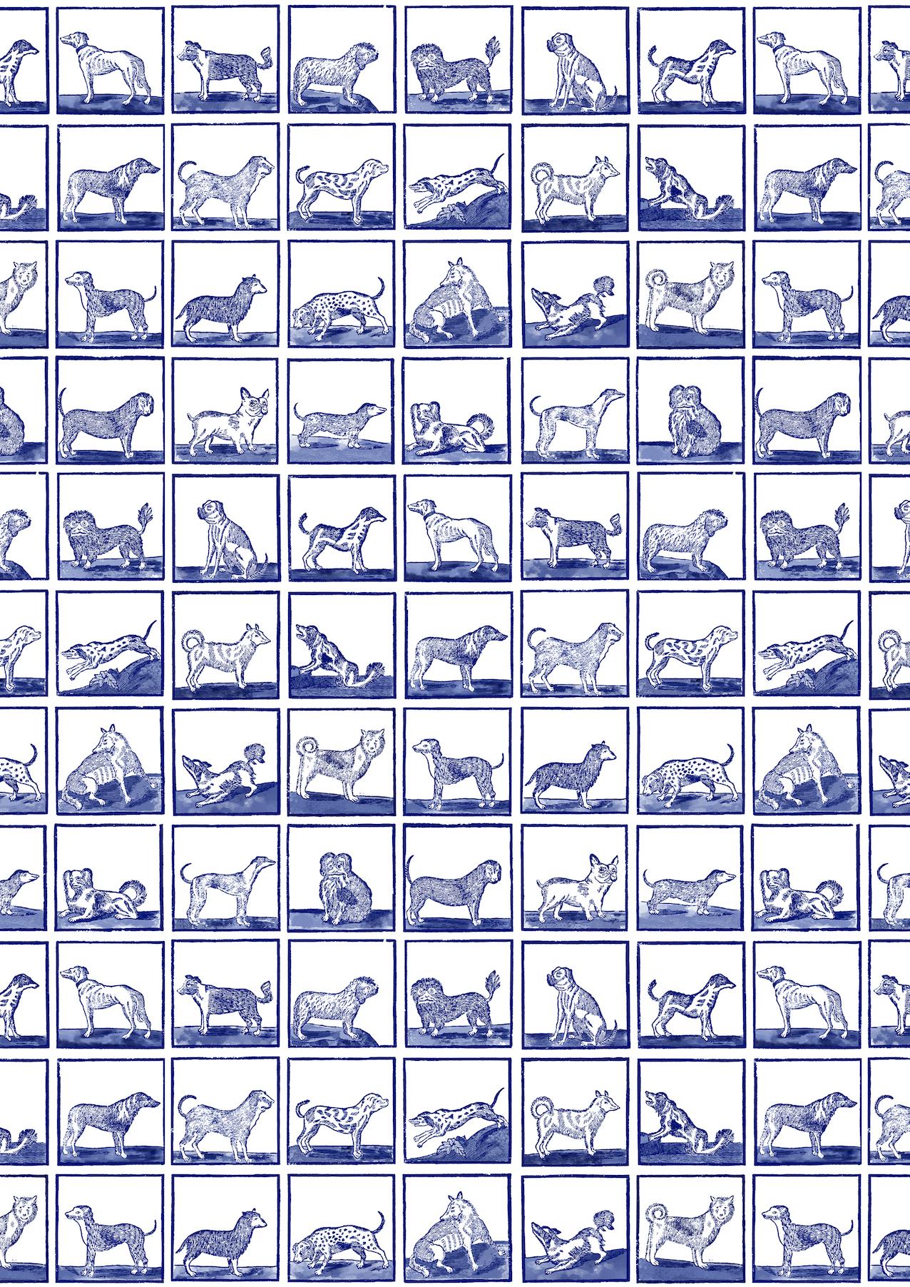 Dutch Colonial Animal Inspired, Graphic Blue and White Wallpaper: 24 Dogs For Sale