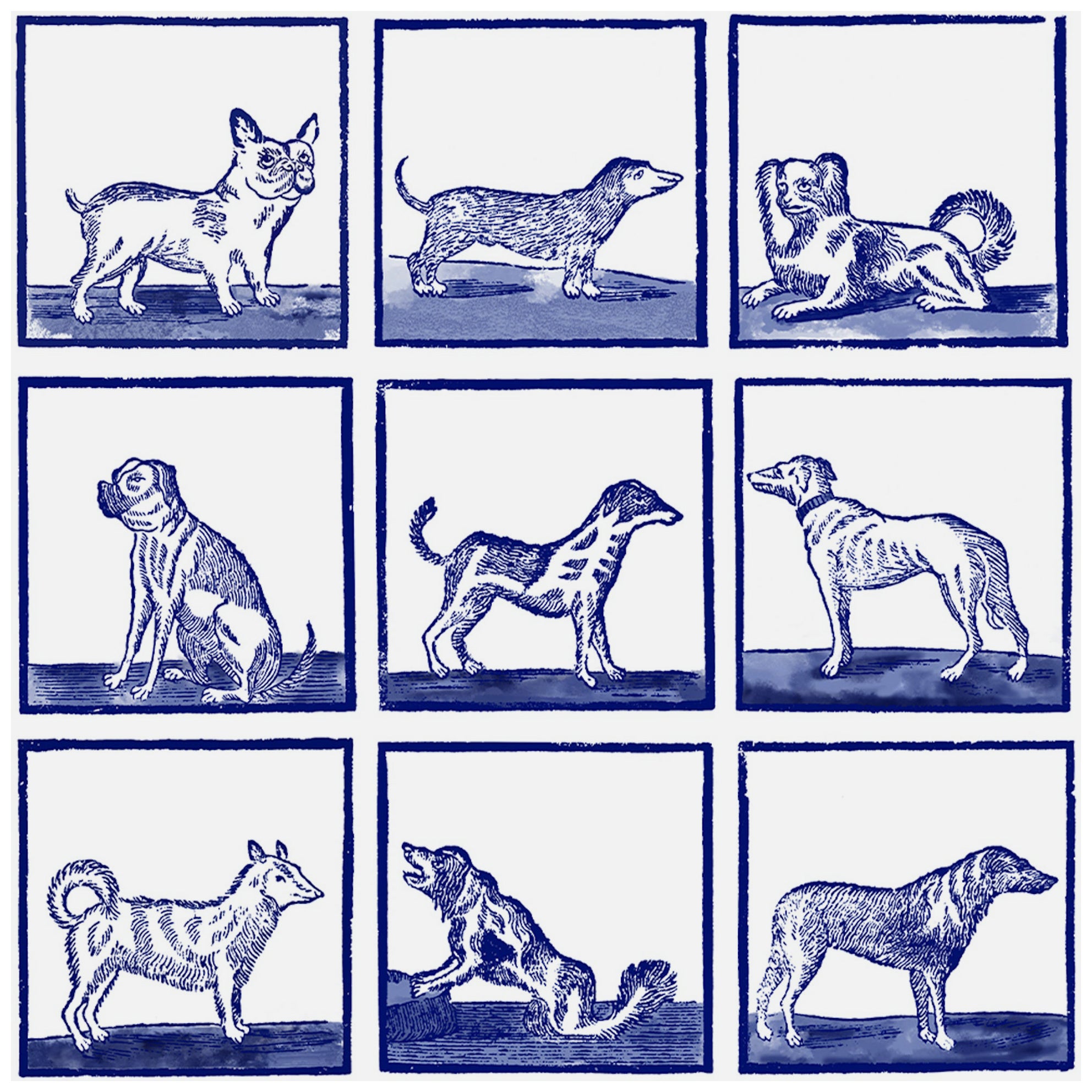 Animal Inspired, Graphic Blue and White Wallpaper: 24 Dogs For Sale