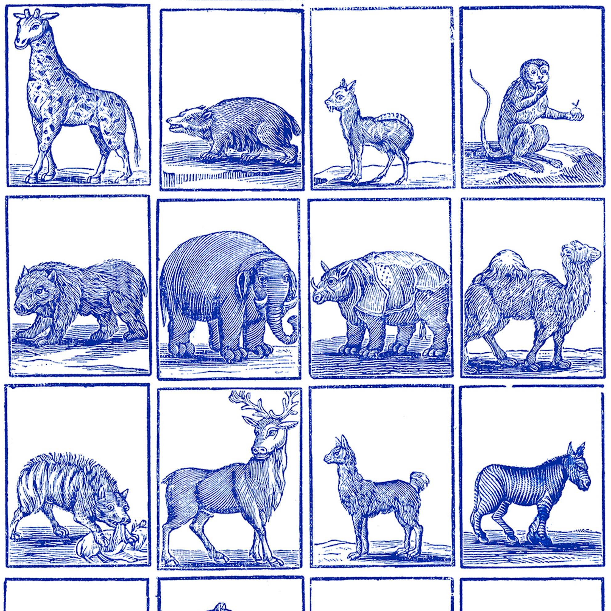 ORDINE MINIMO 4 ROTOLI PER UN TOTALE DI 44 METRI.

Questo design si ispira alle piastrelle Delft Blue olandesi e Azulejos portoghesi.

Abbiamo selezionato diversi animali esotici da illustrazioni olandesi del XVIII secolo e li abbiamo rielaborati in