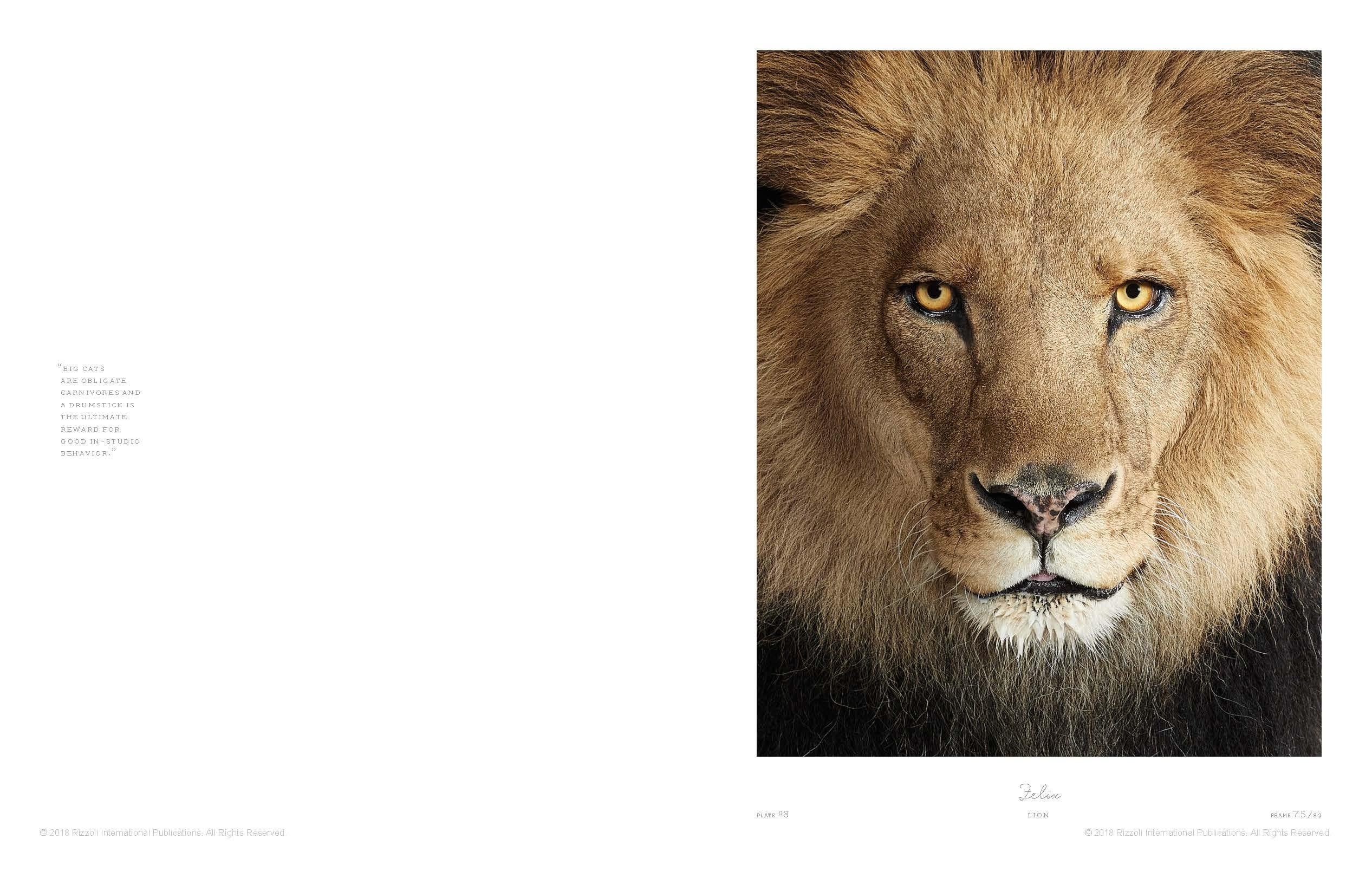 Animal Kingdom: A Collection of Portraits 2