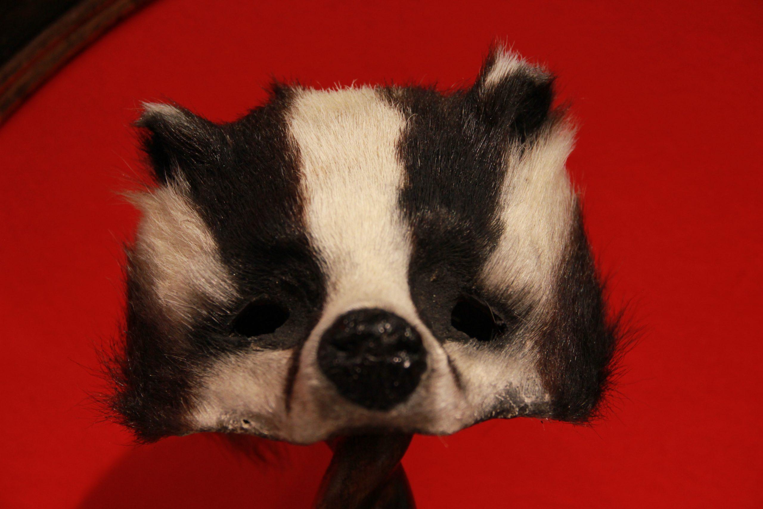 Máscaras de animales 